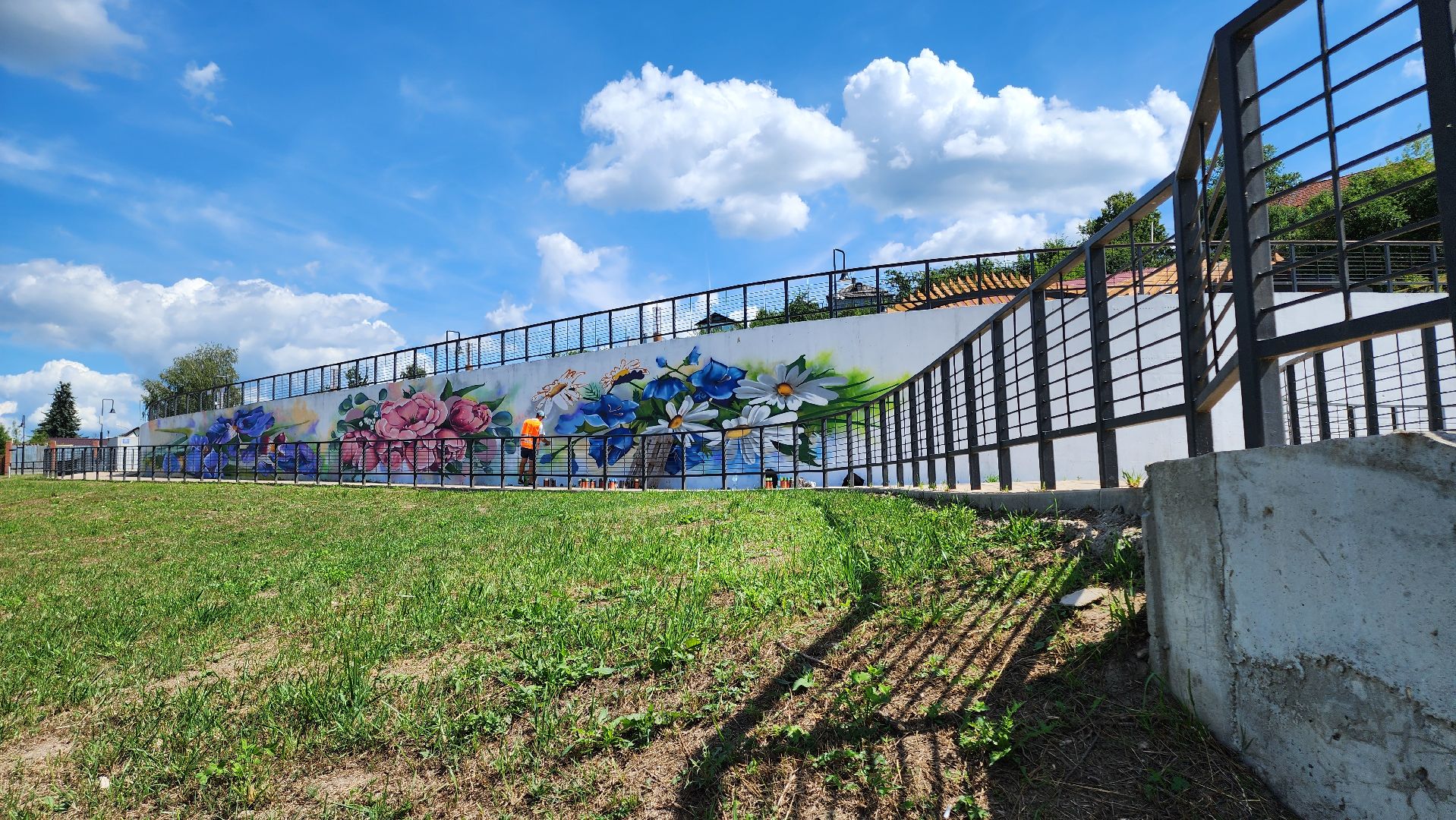 кашира, граффити, стрит-арт, художник, набережная оки, день города, цветы, благоустройство,