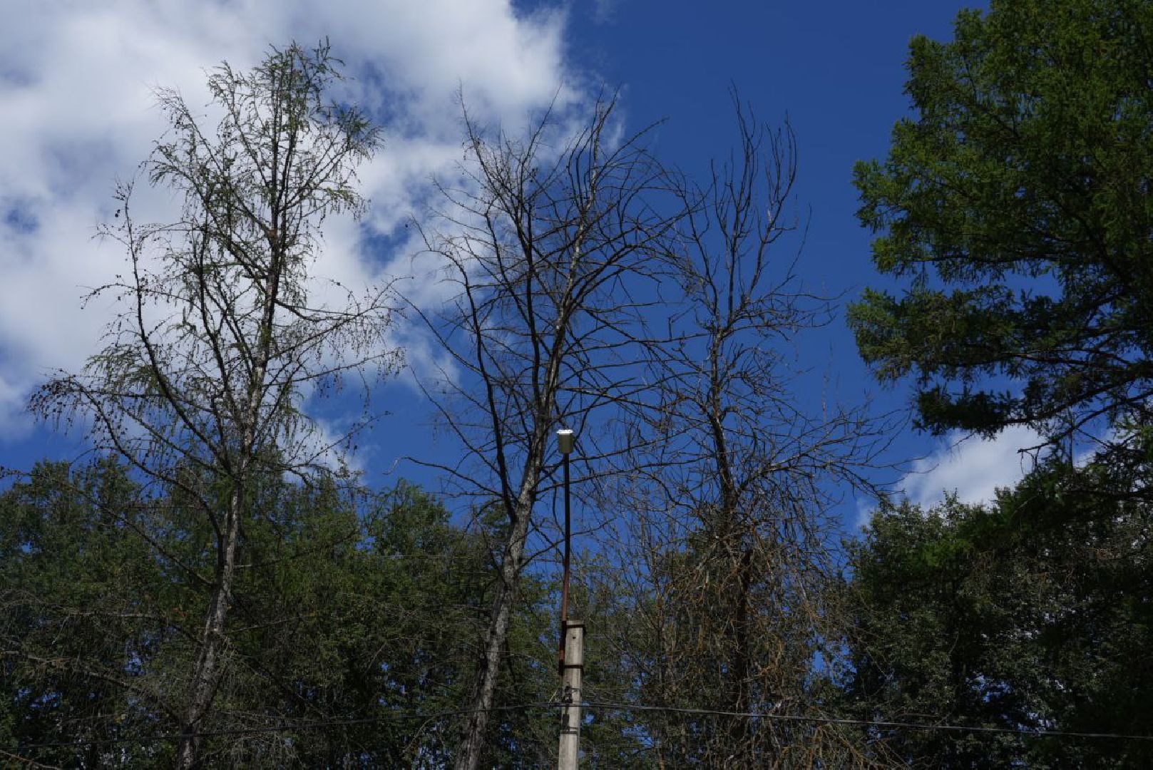 Опиловка, Благоустройство, Сергиев Посад,