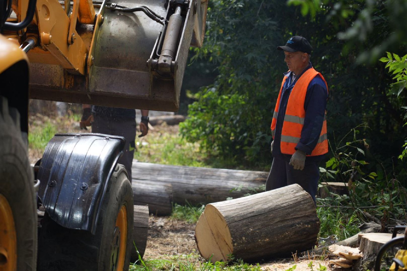 Опиловка, Благоустройство, Сергиев Посад,