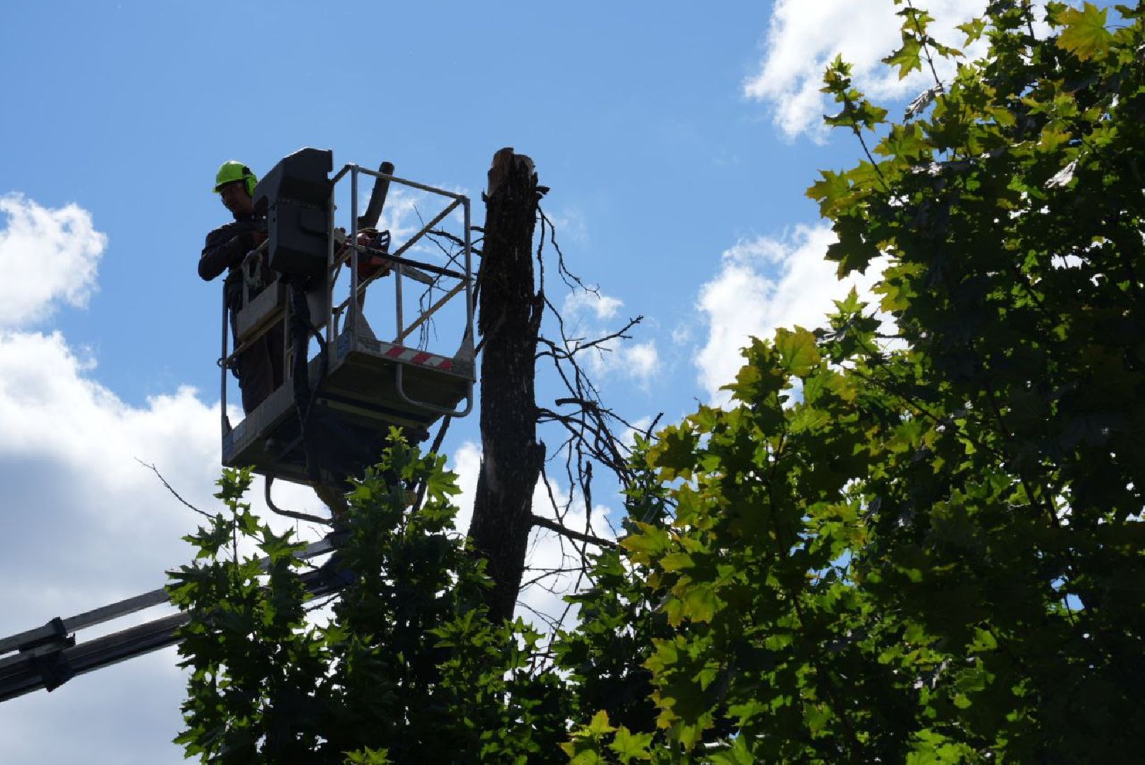 Опиловка, Благоустройство, Сергиев Посад,
