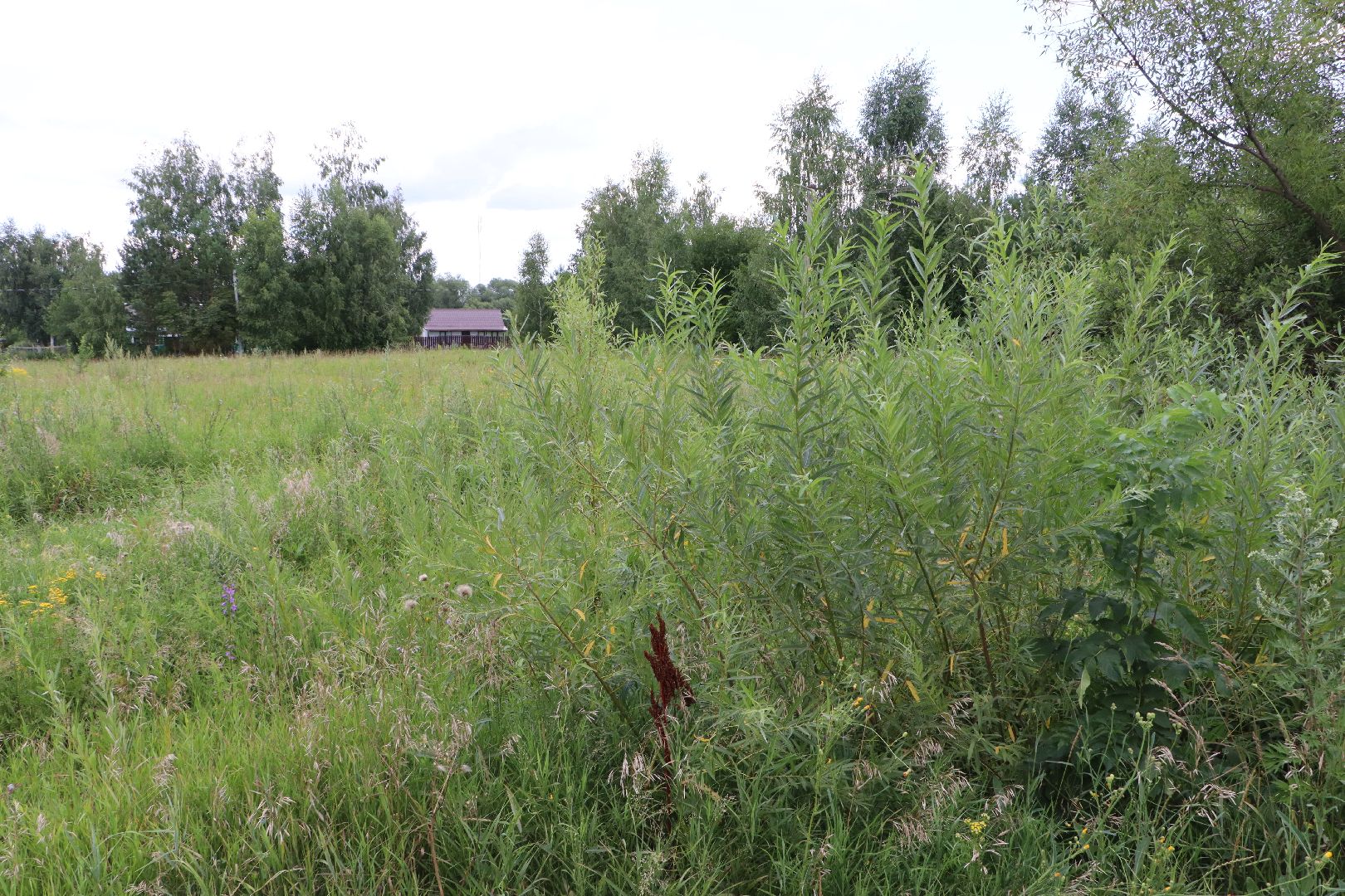 Выездная администрация, власть, Серково, Серебряные Пруды,