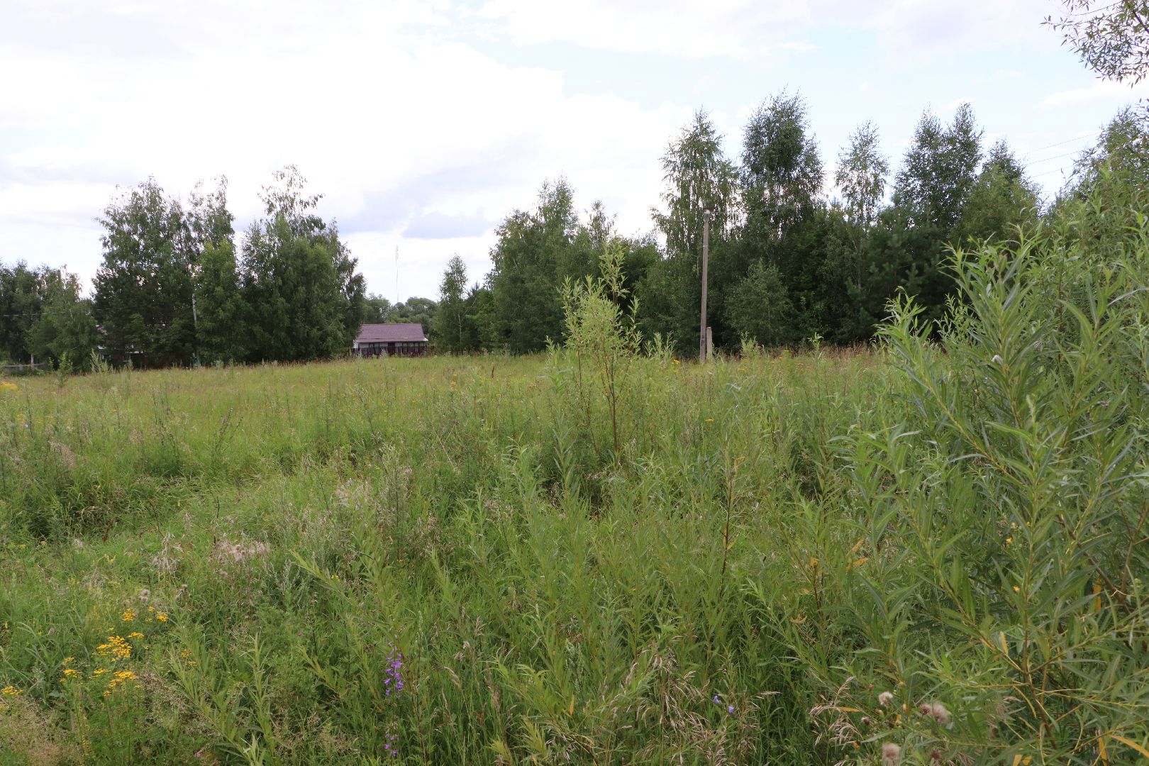 Выездная администрация, власть, Серково, Серебряные Пруды,