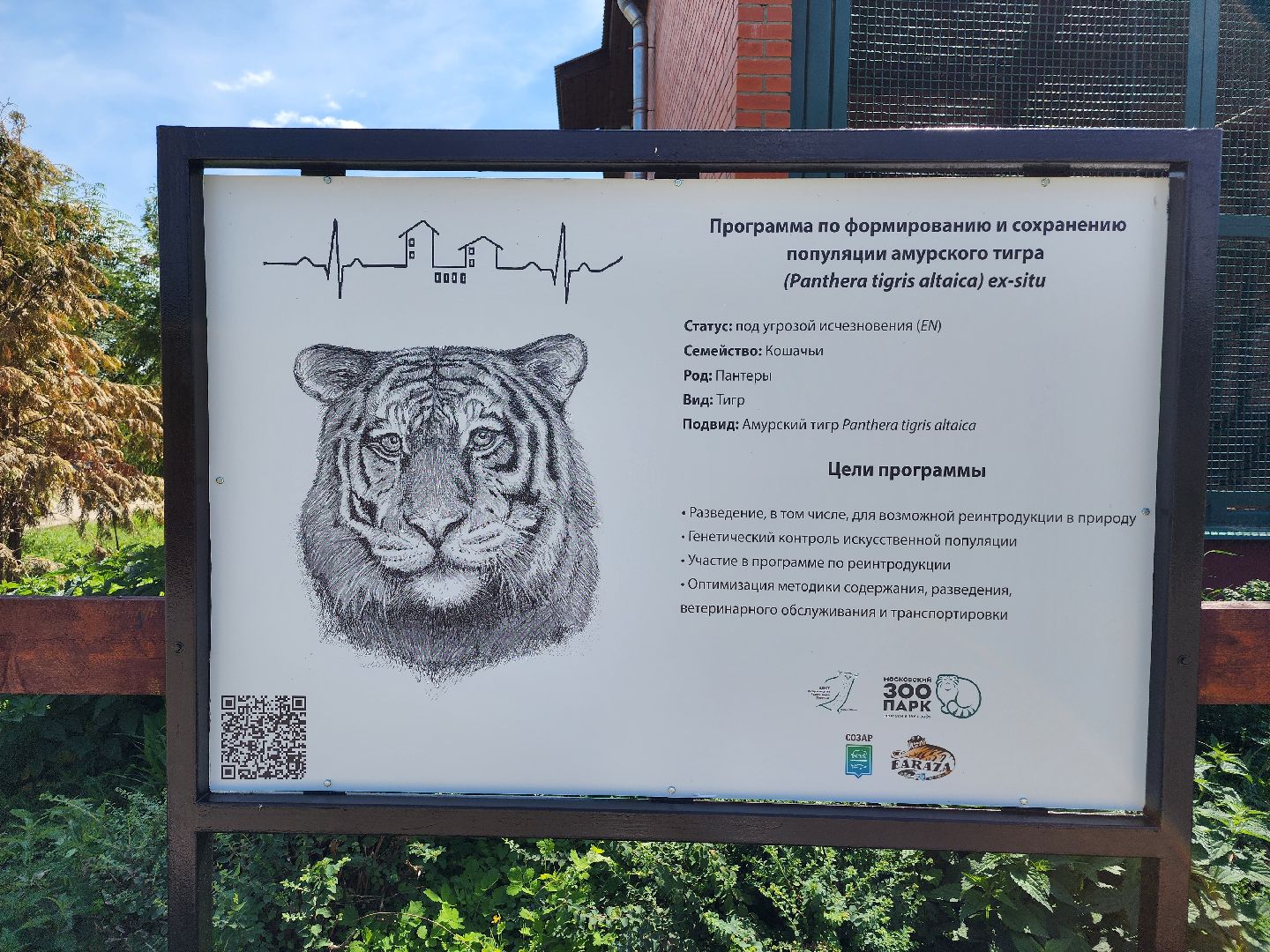 День тигра, волоколамск, Сохранение животных,