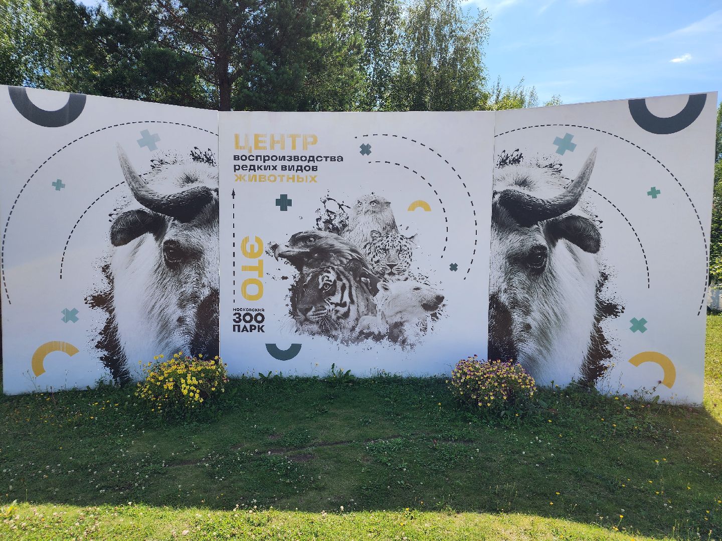 День тигра, волоколамск, Сохранение животных,