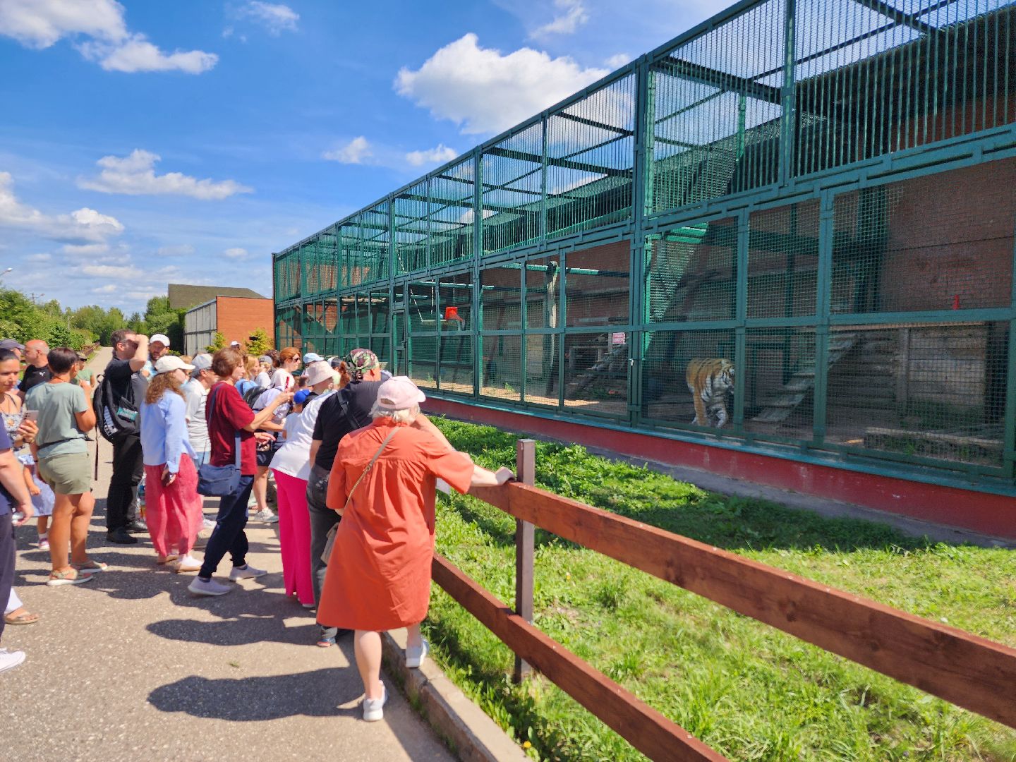 День тигра, волоколамск, Сохранение животных,