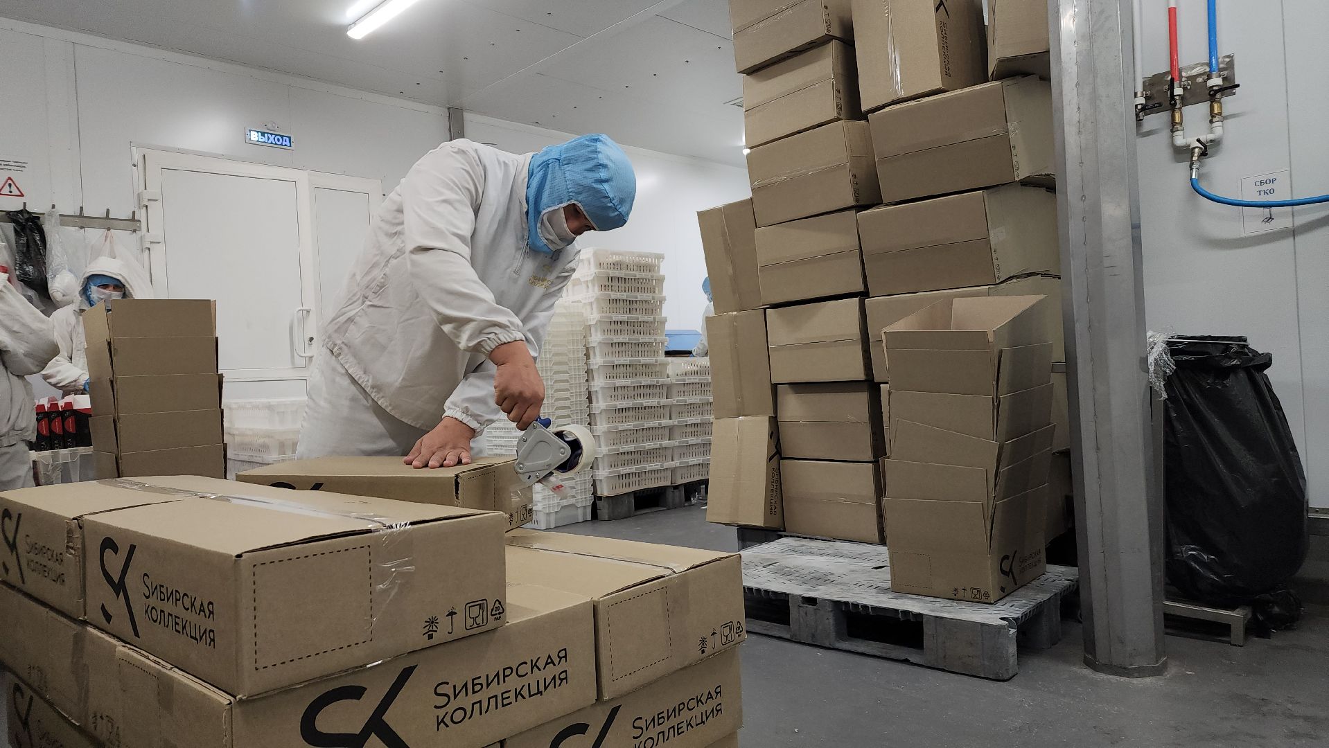 экономика, расширение производства, пищевое производство, рабочие места, Лосино-Петровский,