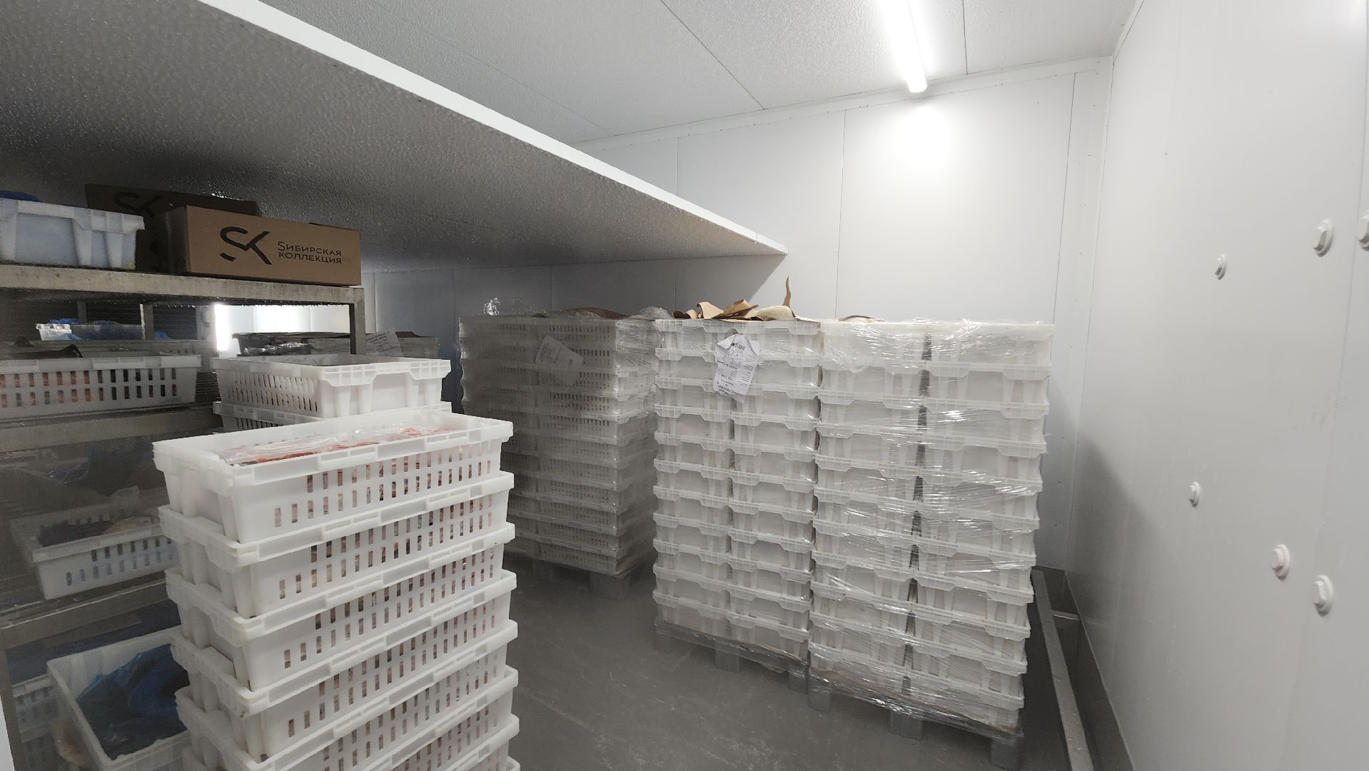 экономика, расширение производства, пищевое производство, рабочие места, Лосино-Петровский,