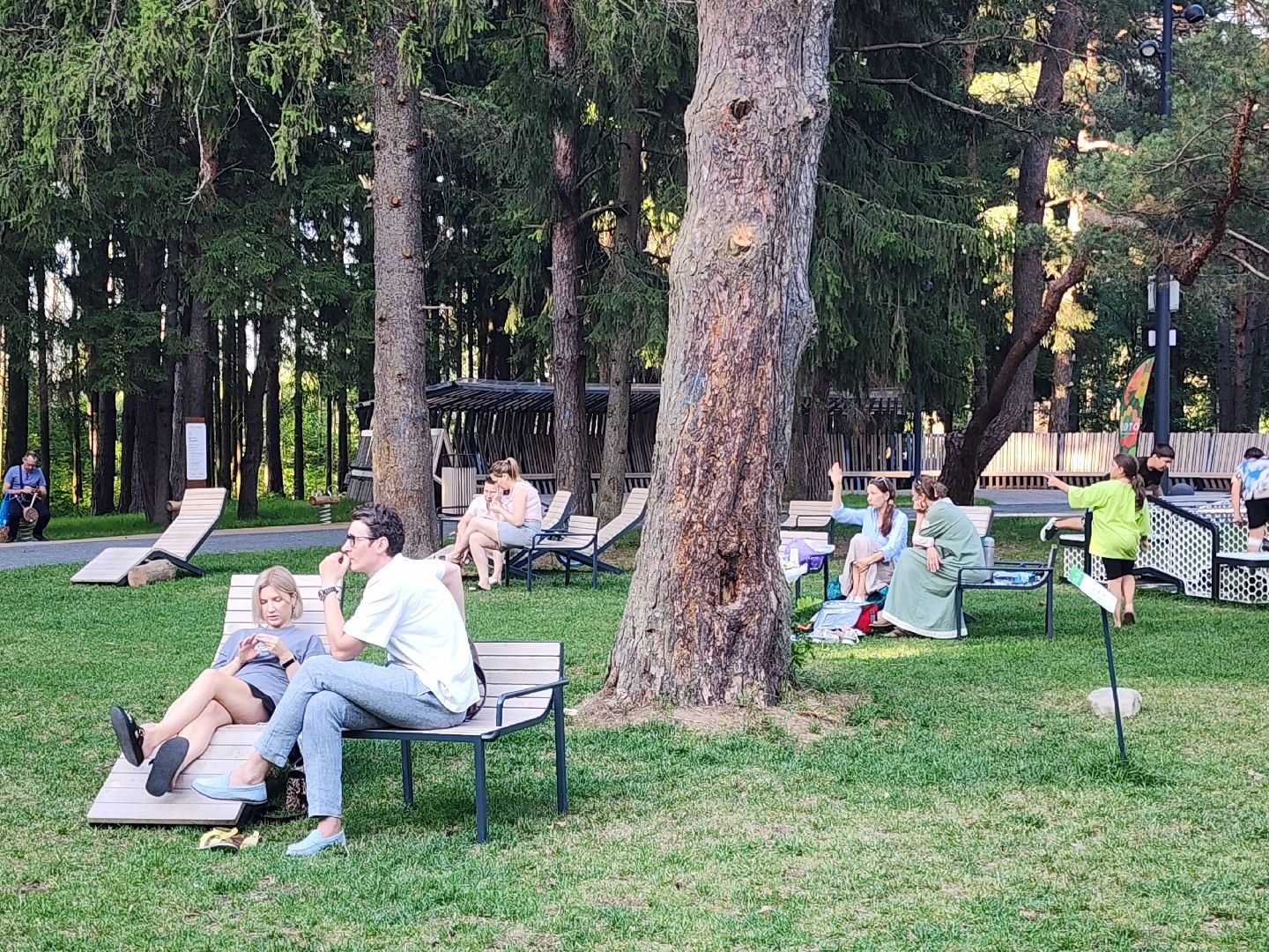 место отдыха, лесопарк, семейный отдых,