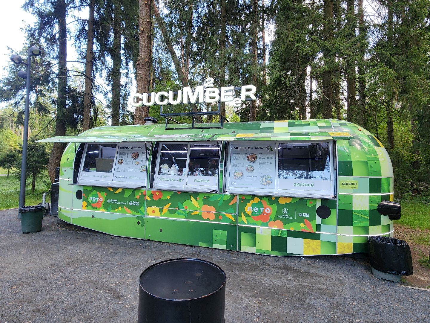 место отдыха, лесопарк, семейный отдых,