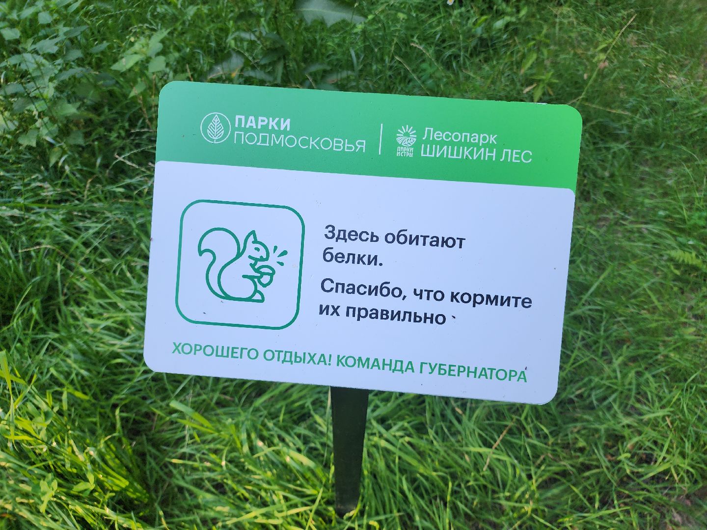 место отдыха, лесопарк, семейный отдых,