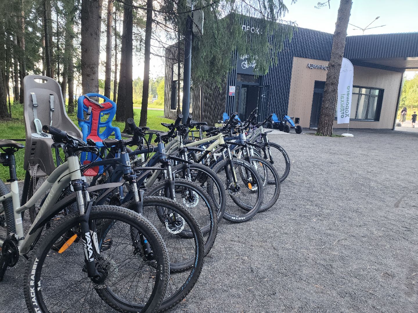 место отдыха, лесопарк, семейный отдых,