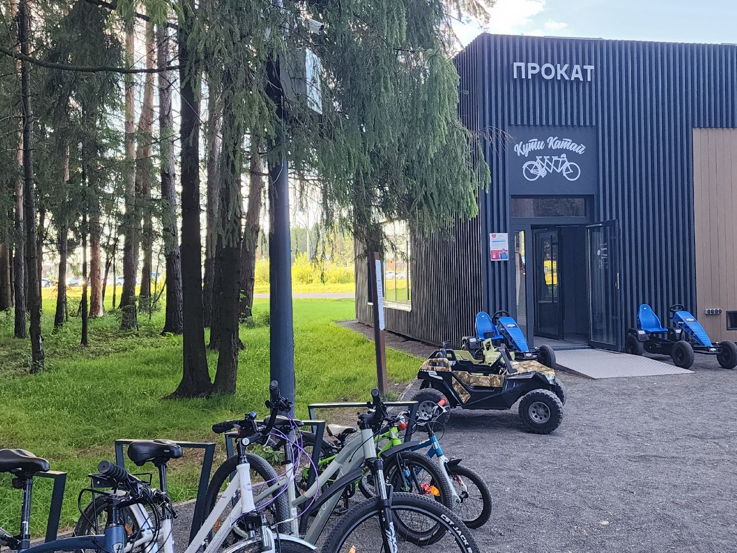 место отдыха, лесопарк, семейный отдых,