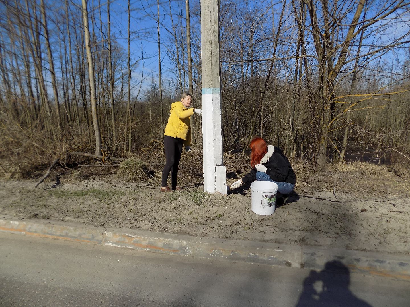 Большая Шатура, Шатура, субботник