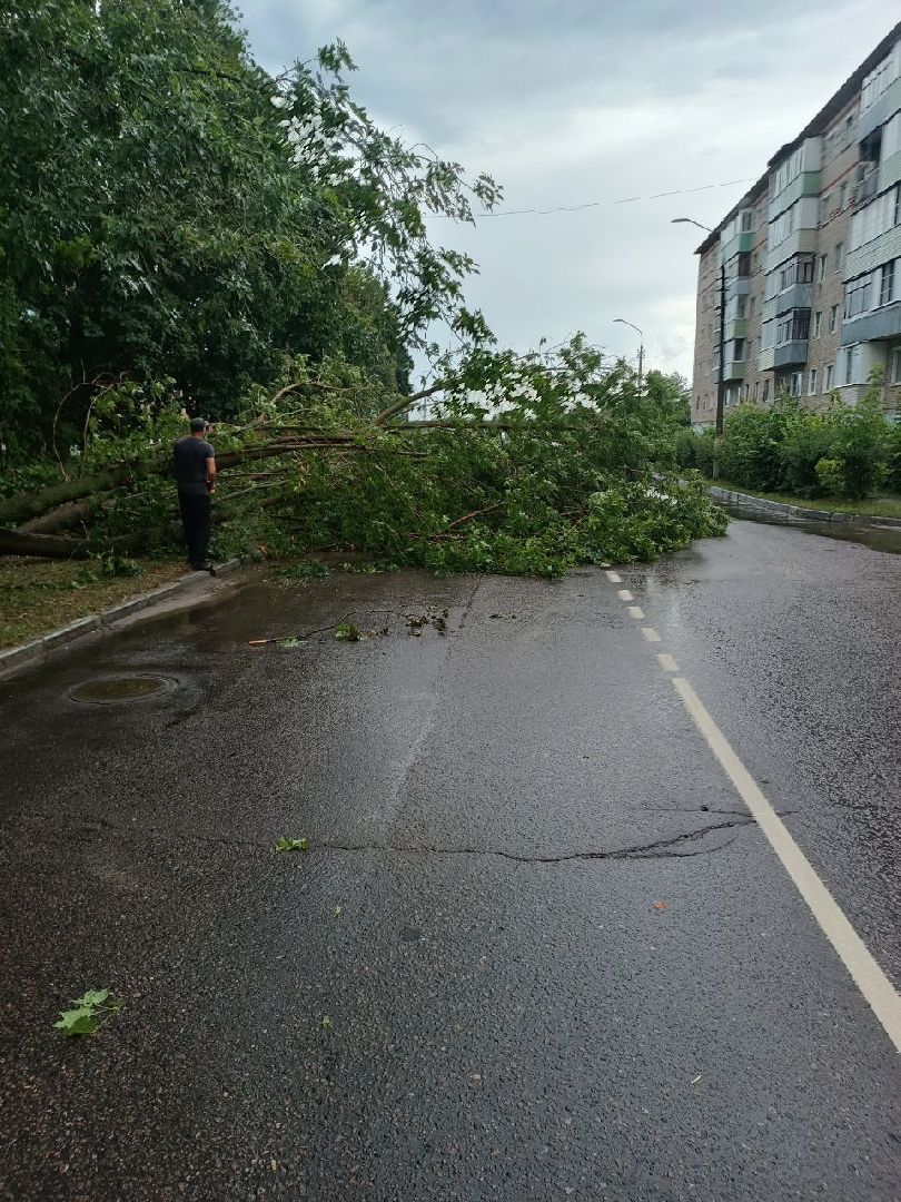 ураган, ливень, Рошаль, Большая Шатура, устранение последствий, служба дорожного хозяйства и благоустройства,