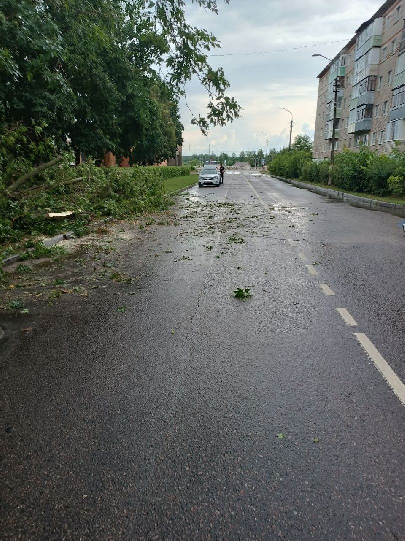 ураган, ливень, Рошаль, Большая Шатура, устранение последствий, служба дорожного хозяйства и благоустройства,