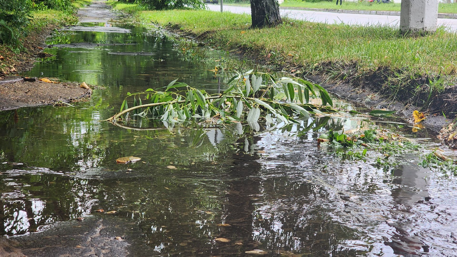 ураган, ливень, Рошаль, Большая Шатура, устранение последствий, служба дорожного хозяйства и благоустройства,