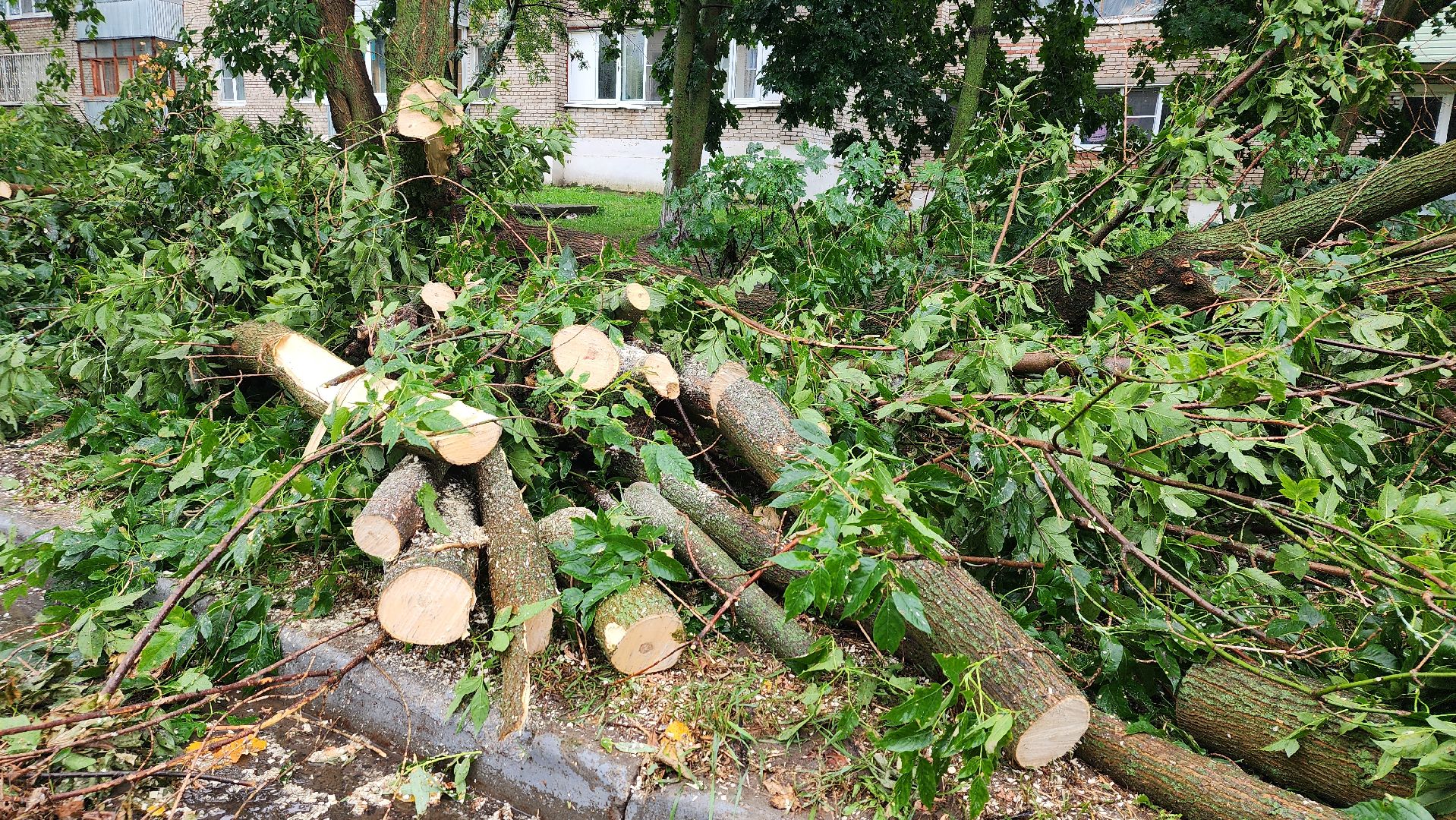 ураган, ливень, Рошаль, Большая Шатура, устранение последствий, служба дорожного хозяйства и благоустройства,