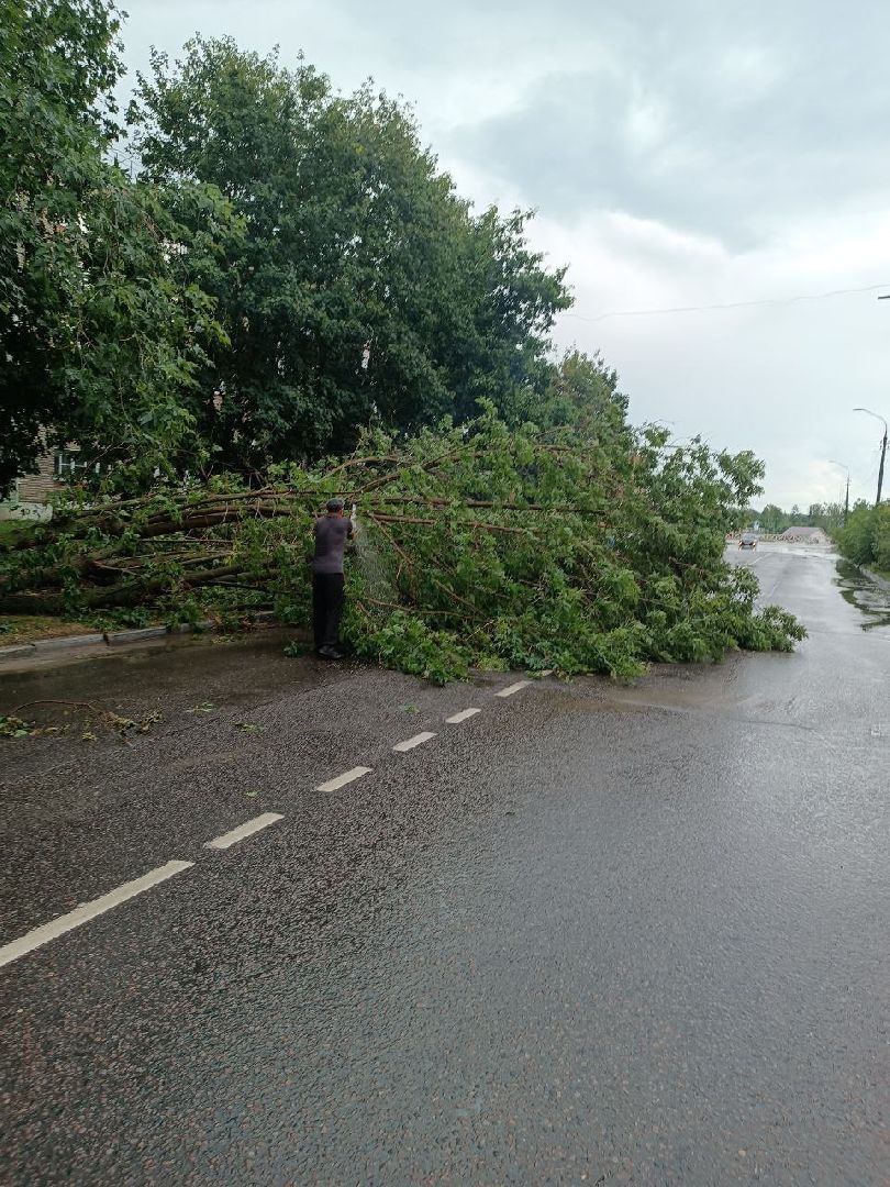 ураган, ливень, Рошаль, Большая Шатура, устранение последствий, служба дорожного хозяйства и благоустройства,