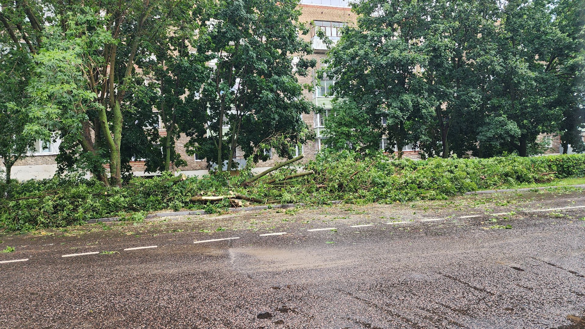 ураган, ливень, Рошаль, Большая Шатура, устранение последствий, служба дорожного хозяйства и благоустройства,