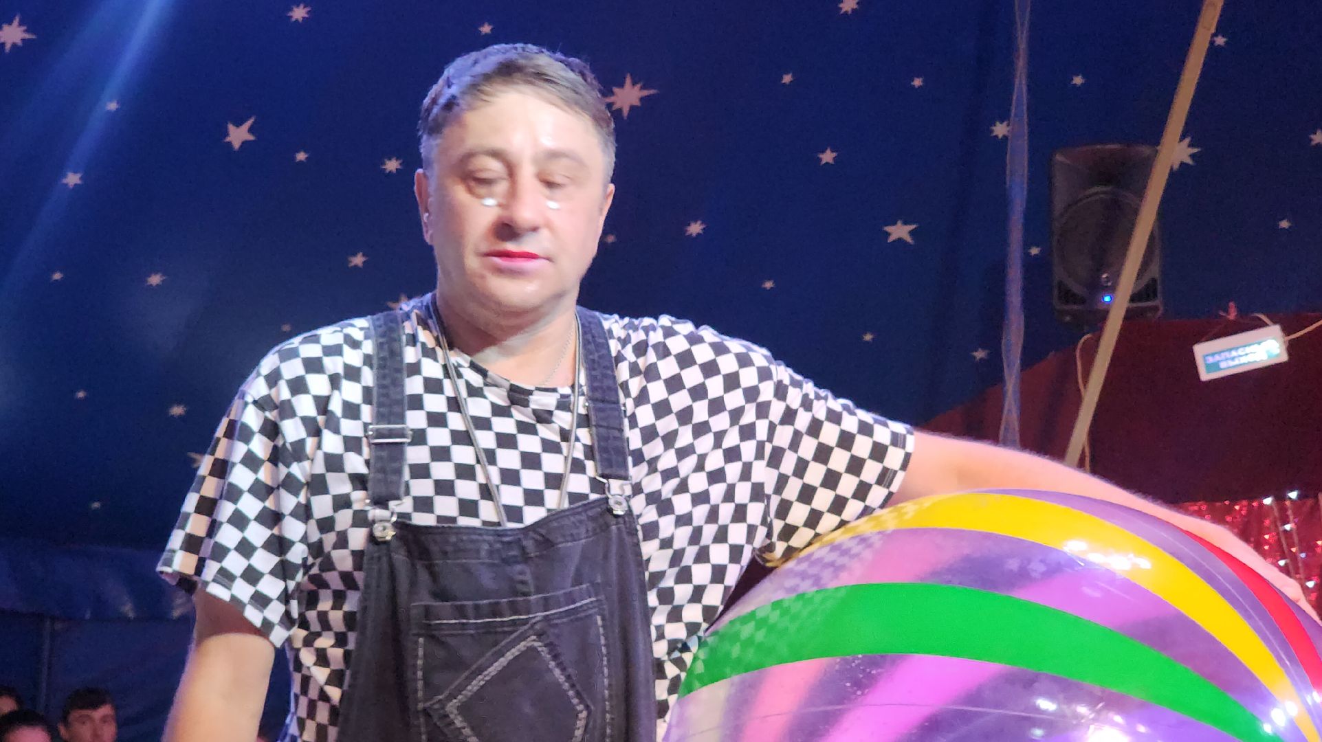 Звенигород, культура и туризм в подмосковье, цирковое искусство,