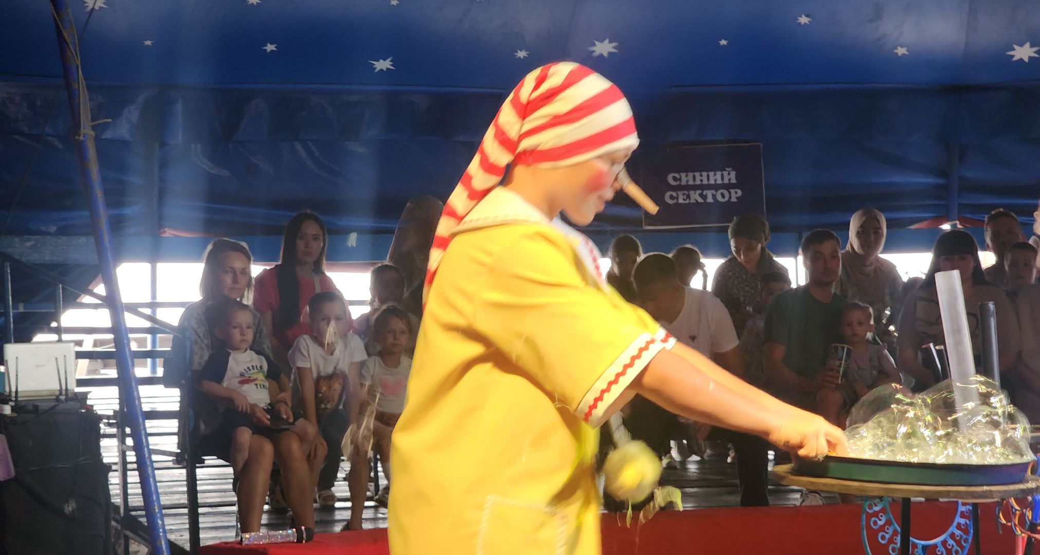 Звенигород, культура и туризм в подмосковье, цирковое искусство,