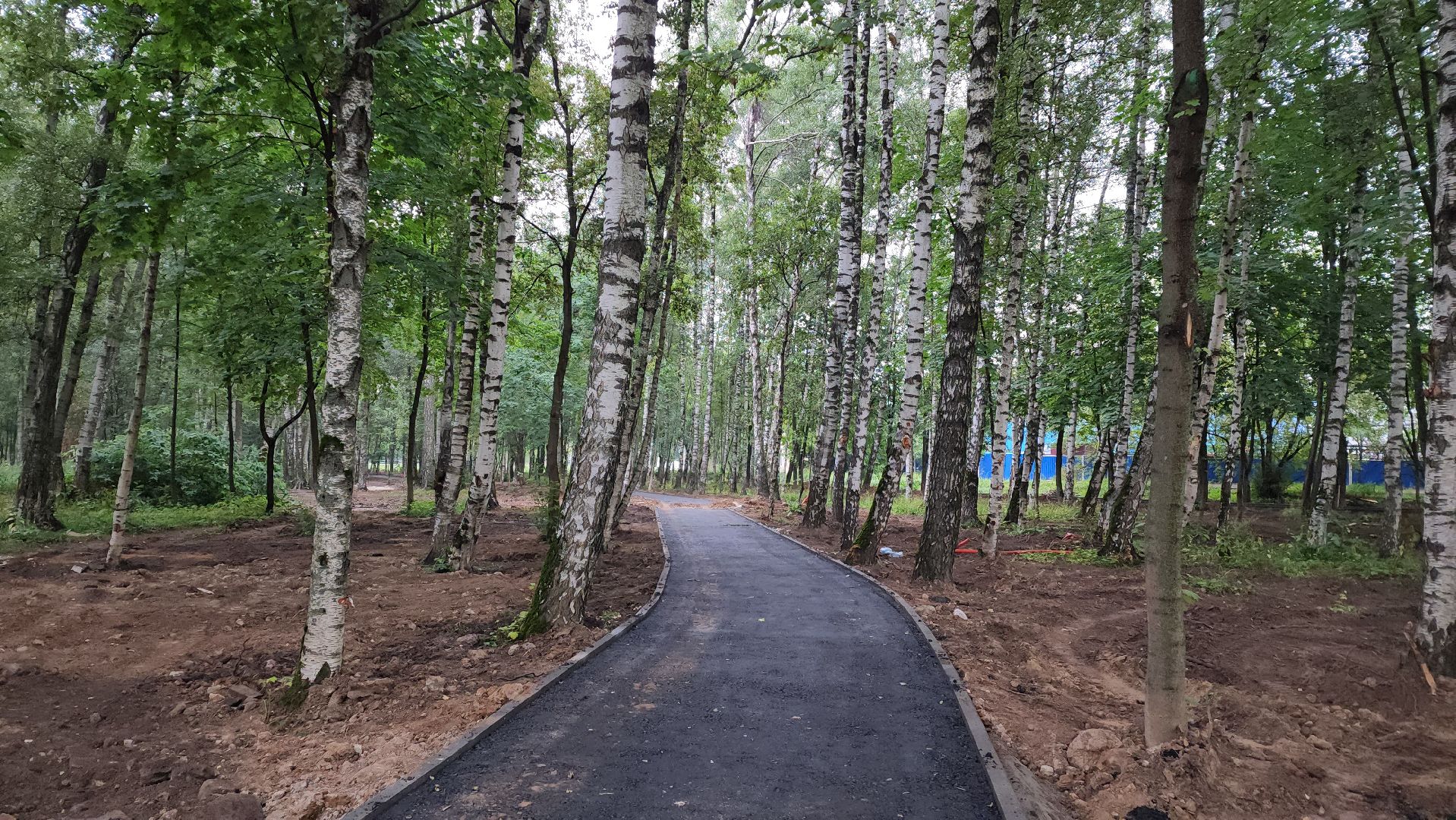 Парк, Благоустройство, Лобня,