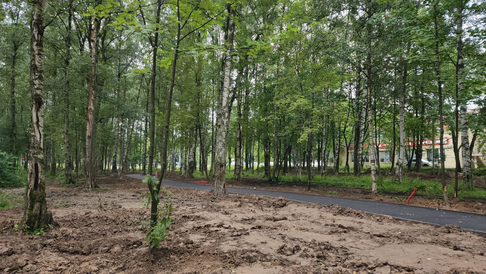 Парк, Благоустройство, Лобня,