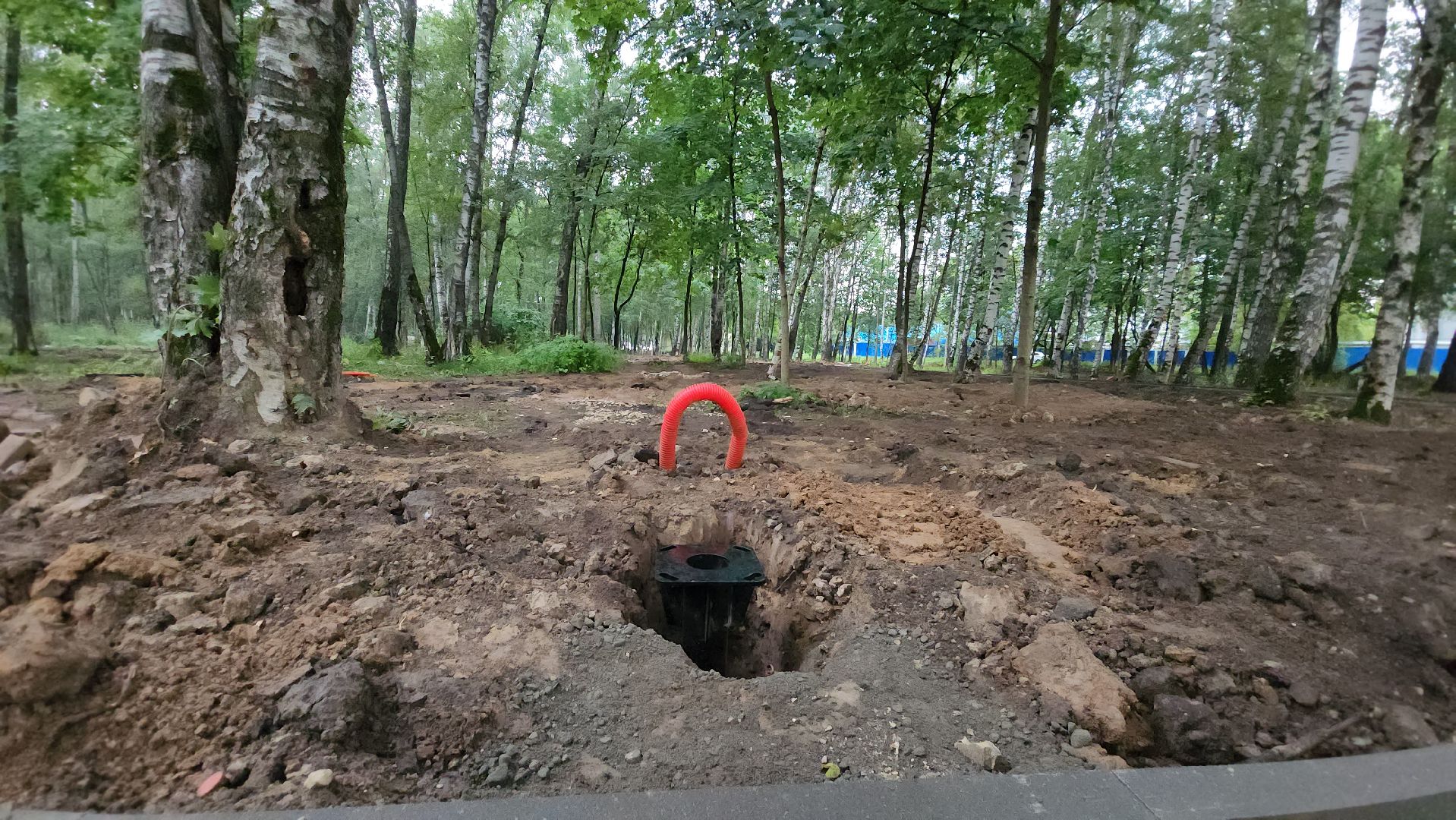 Парк, Благоустройство, Лобня,