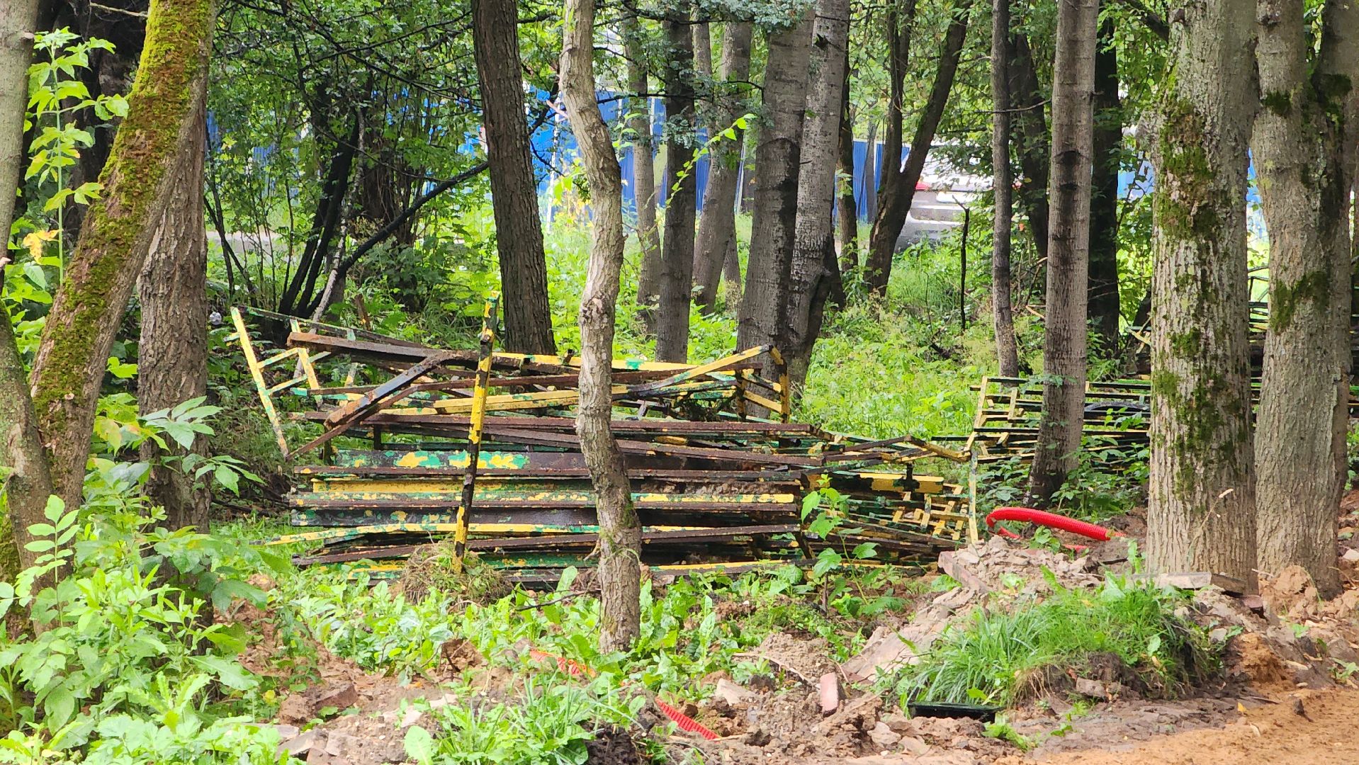 Парк, Благоустройство, Лобня,