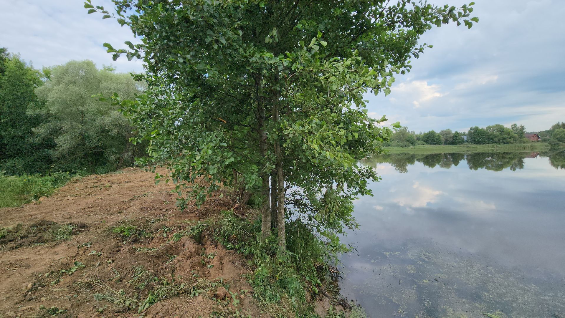 серпухов, деревня калугино, пруд, чистка водоема, экология,