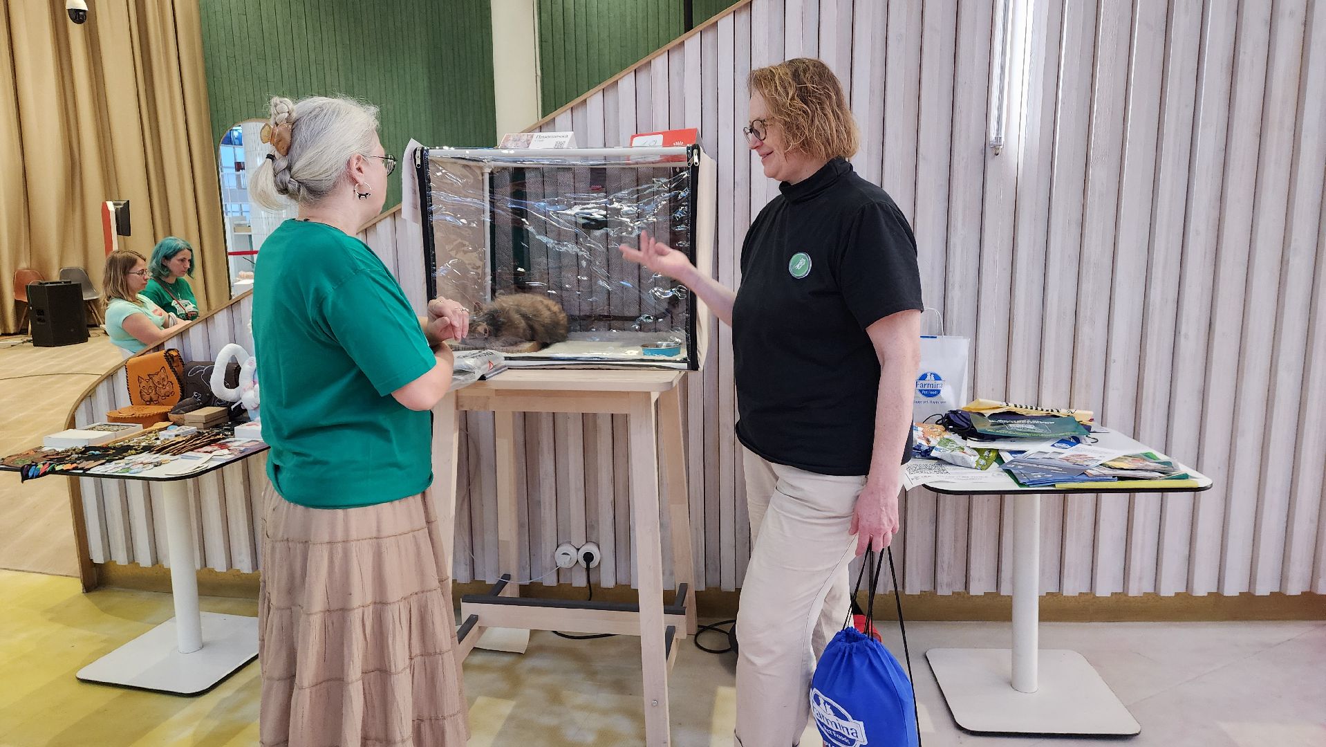 пушкино, благотворительная акция, пристройство, бездомные животные, волонтерство,