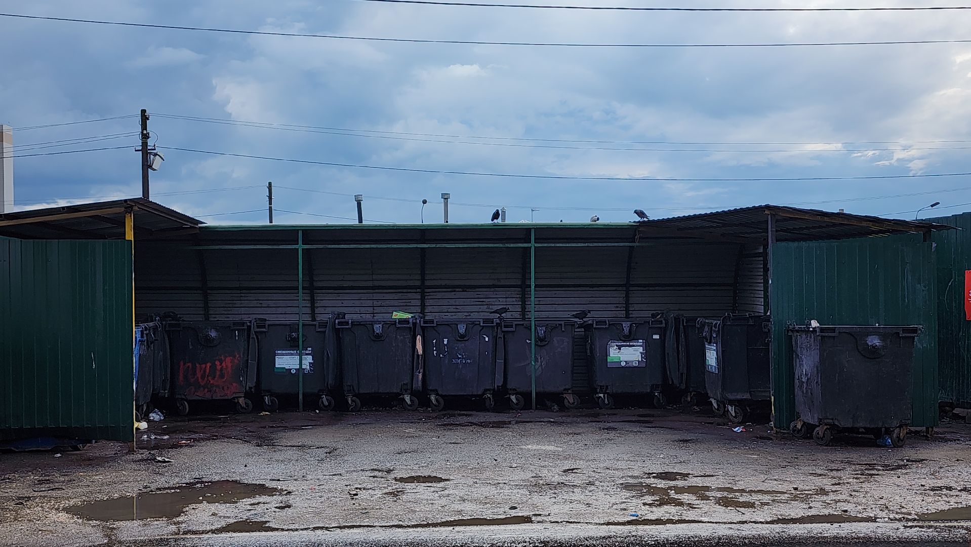 контейнерные площадки, вывоз мусора, Лосино-Петровский,