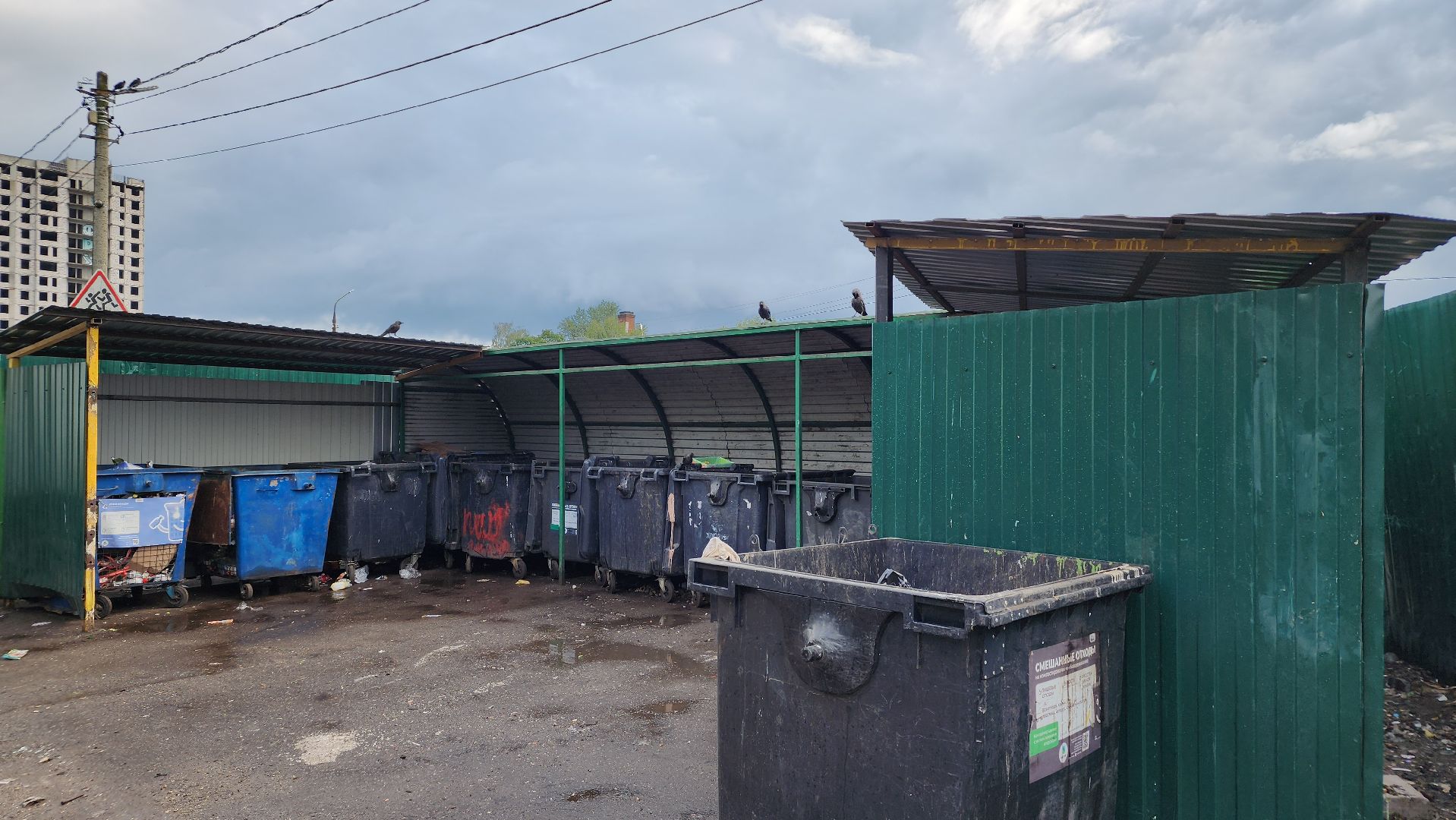 контейнерные площадки, вывоз мусора, Лосино-Петровский,