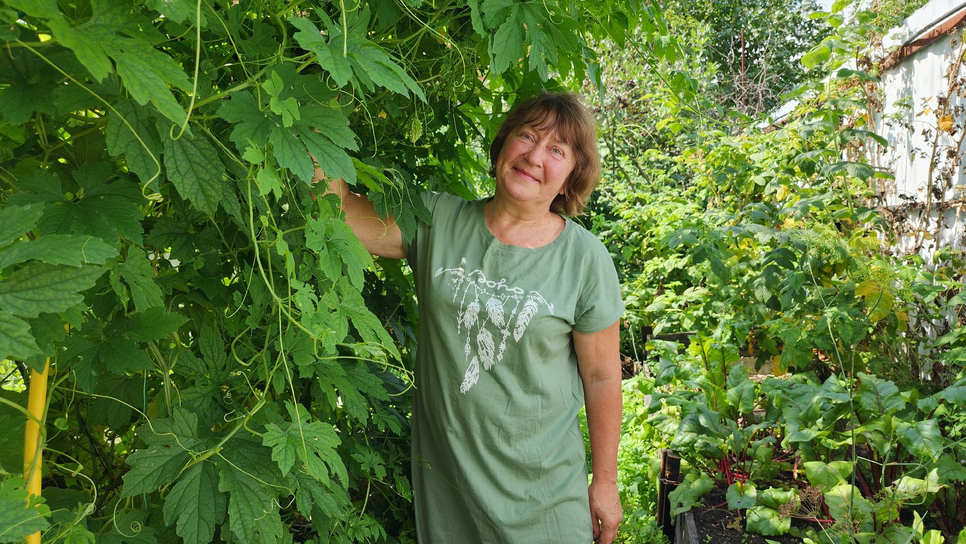 момордика, садоводство, садоводы, Старая Купавна, Богородский городской округ,