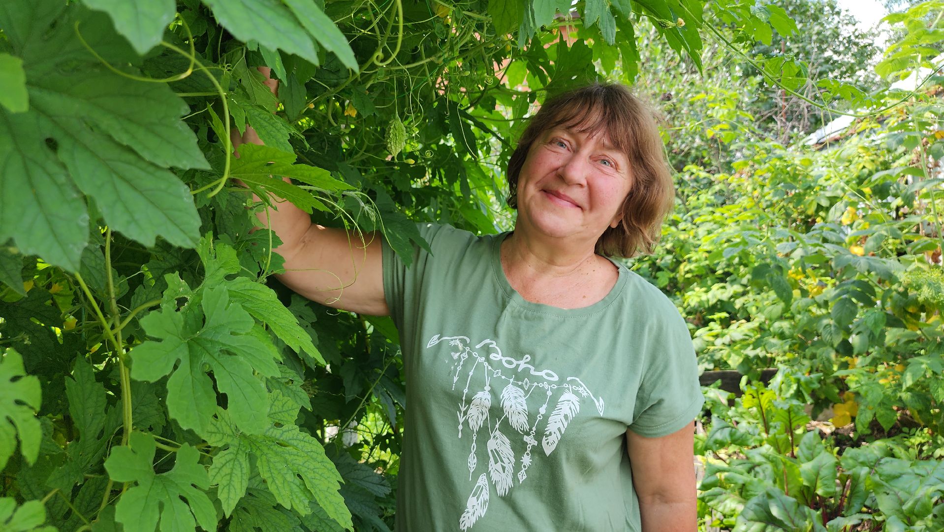 момордика, садоводство, садоводы, Старая Купавна, Богородский городской округ,