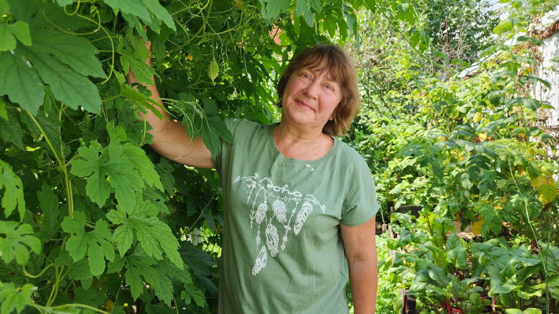момордика, садоводство, садоводы, Старая Купавна, Богородский городской округ,