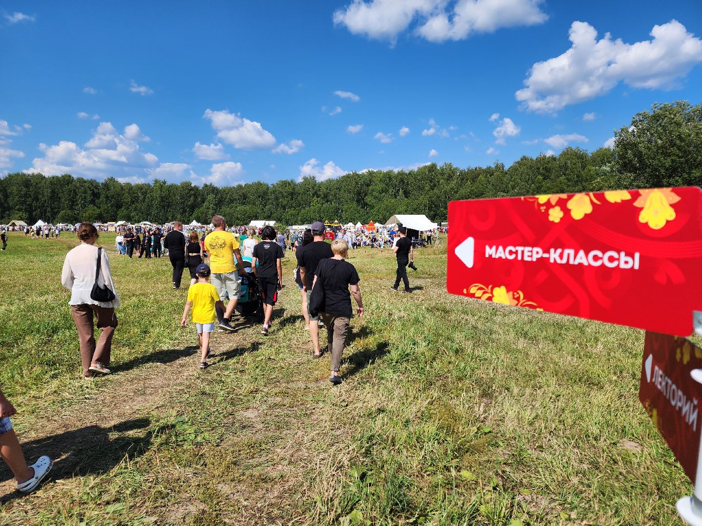 Чехов, село Молоди, фестиваль Гуляй город, Молодинская битва, мастер классы, реконструкция сражения,аттракционы, народные гулянья, народные игры и забавы,