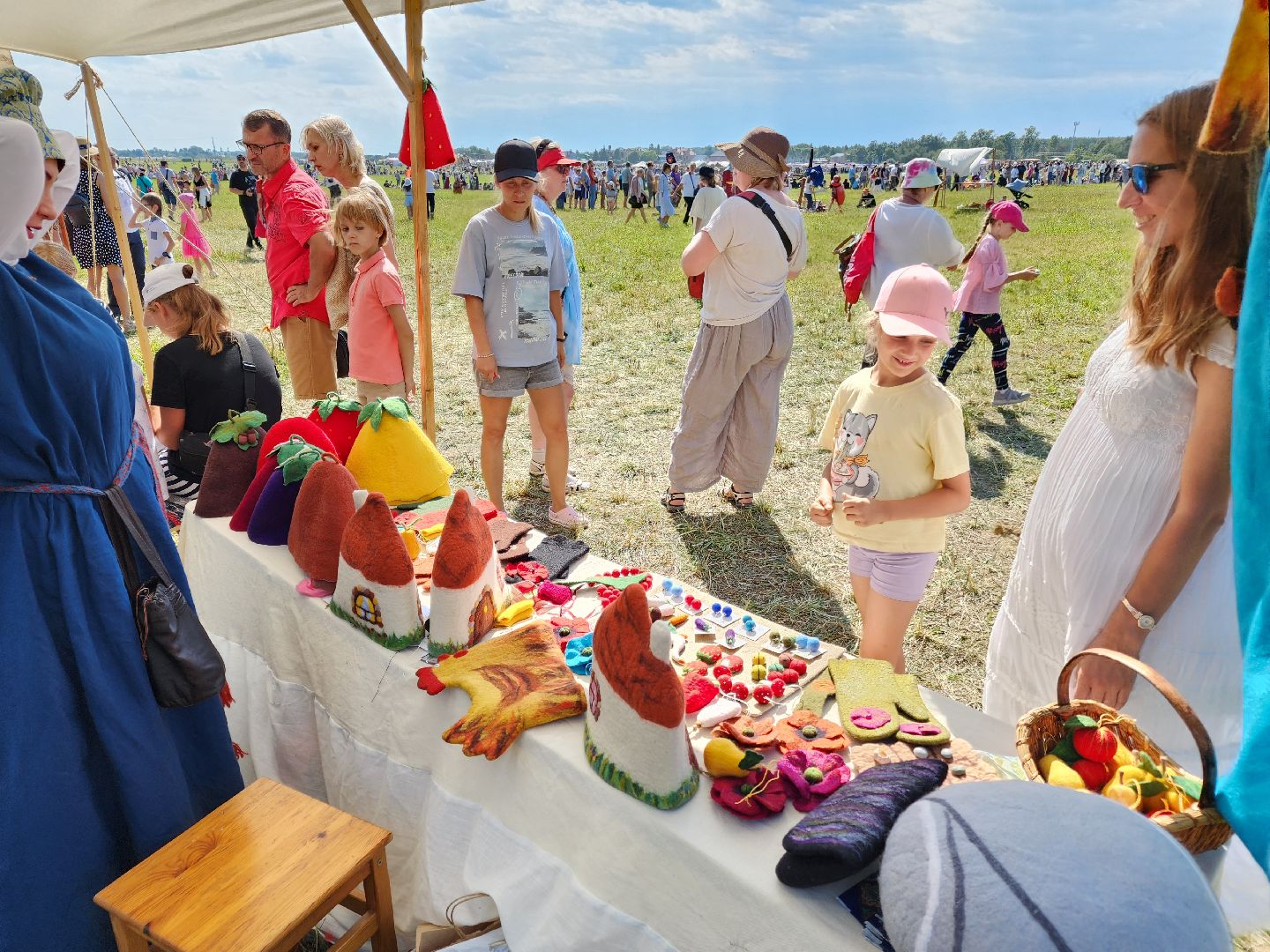 Чехов, село Молоди, фестиваль Гуляй город, Молодинская битва, мастер классы, реконструкция сражения,аттракционы, народные гулянья, народные игры и забавы,