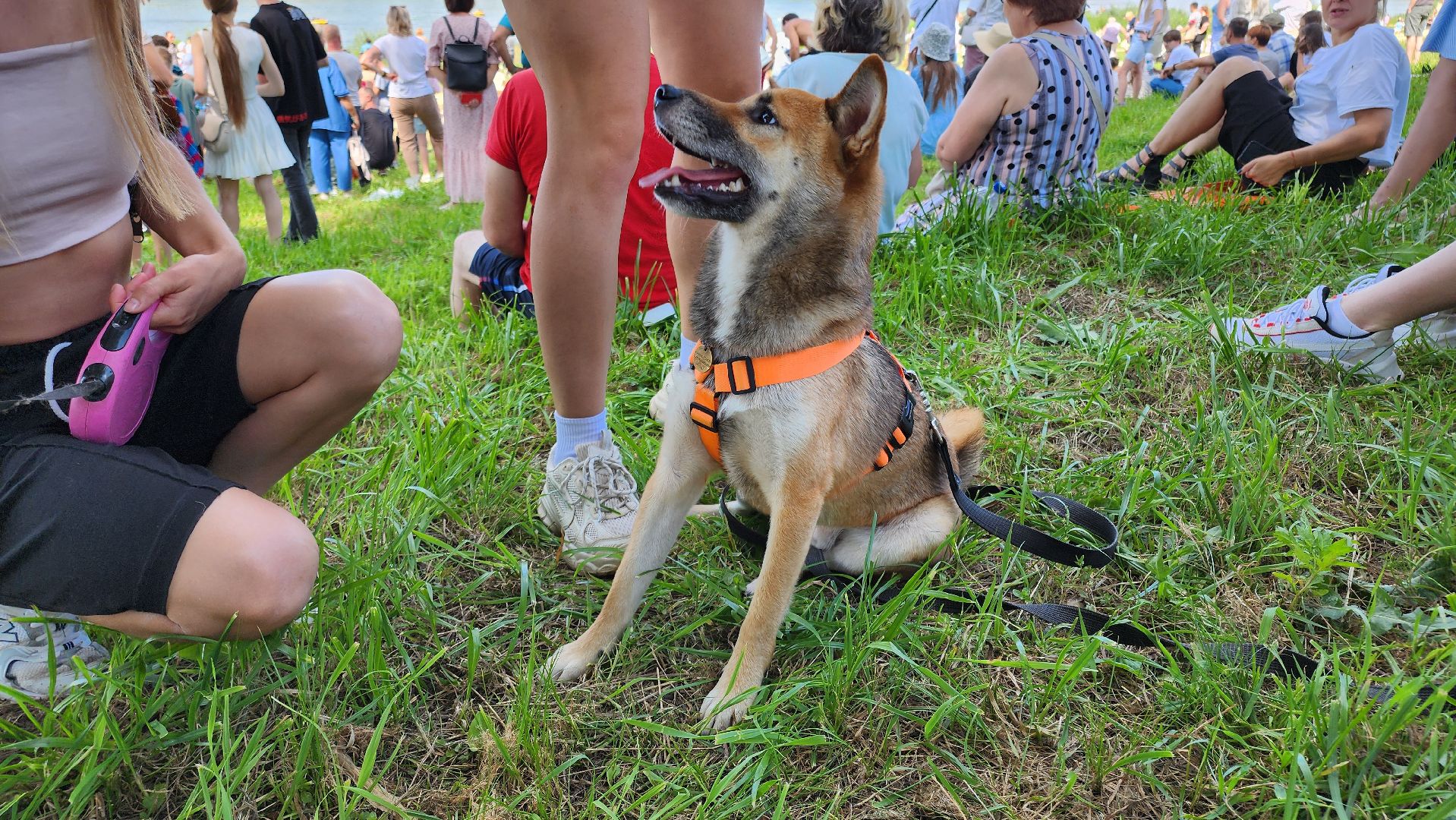 кашира, набережная оки, день города, флайборд, водное шоу, дымовые шашки, флаги,