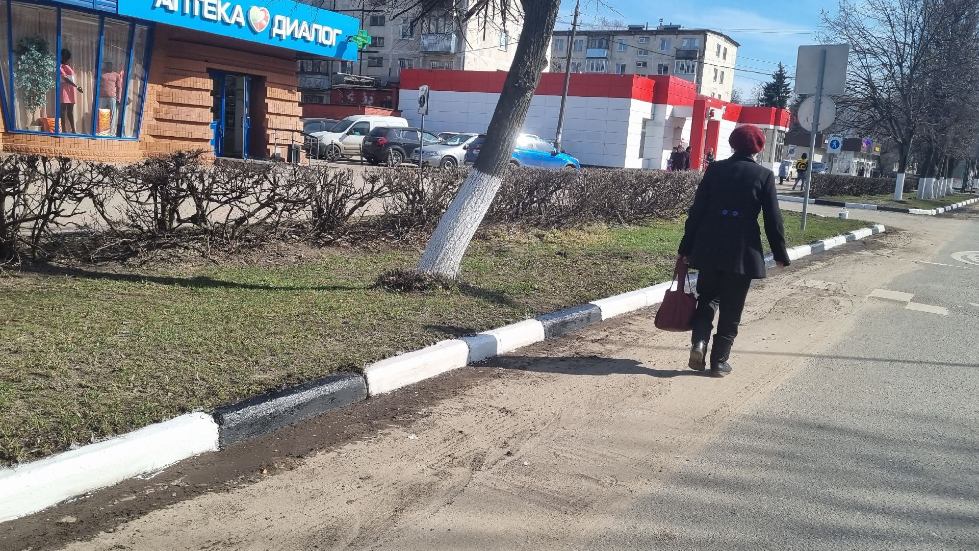 Подмосковье, Ивантеевка, субботник