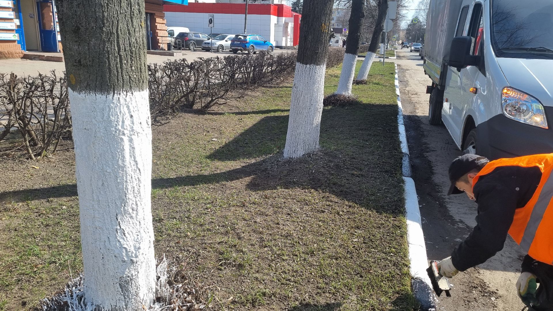 Подмосковье, Ивантеевка, субботник