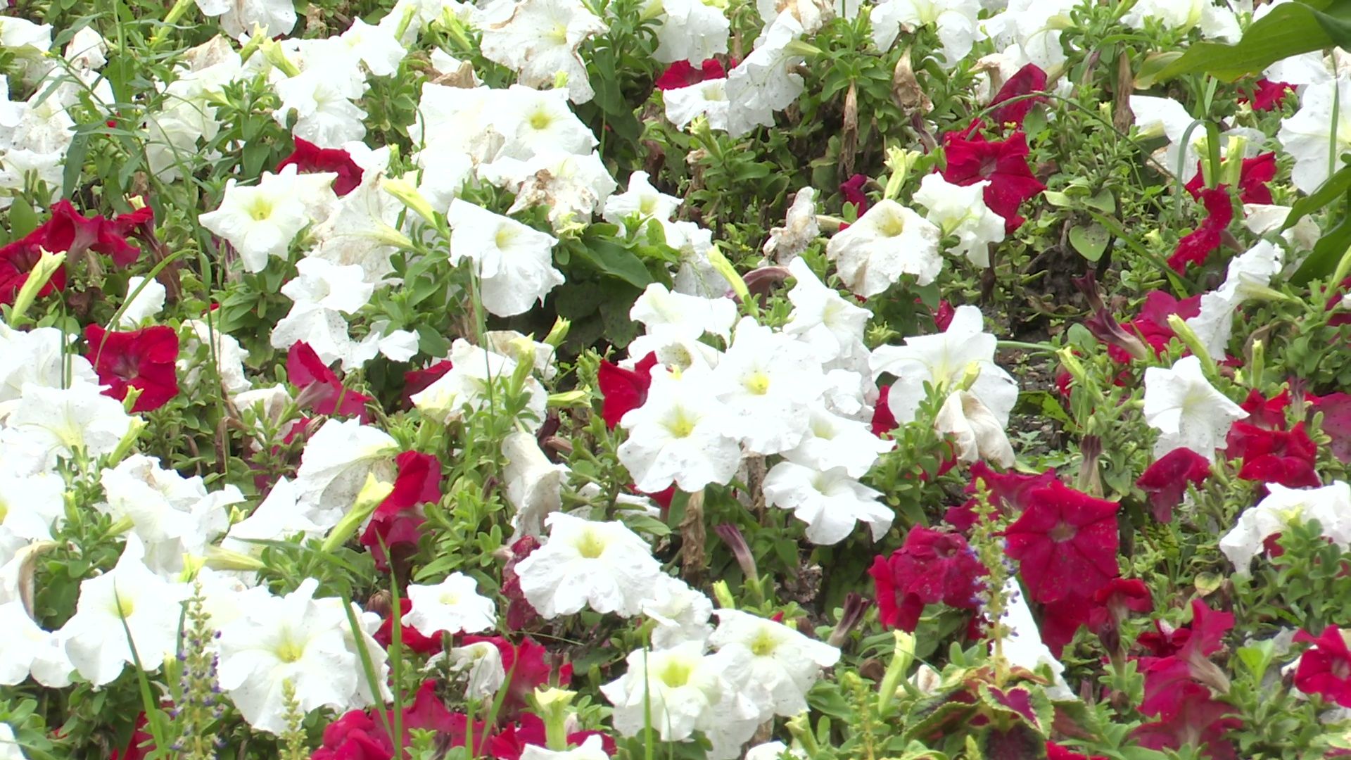 Реутов, экскурсия, пешком по Реутову, город на ладони,