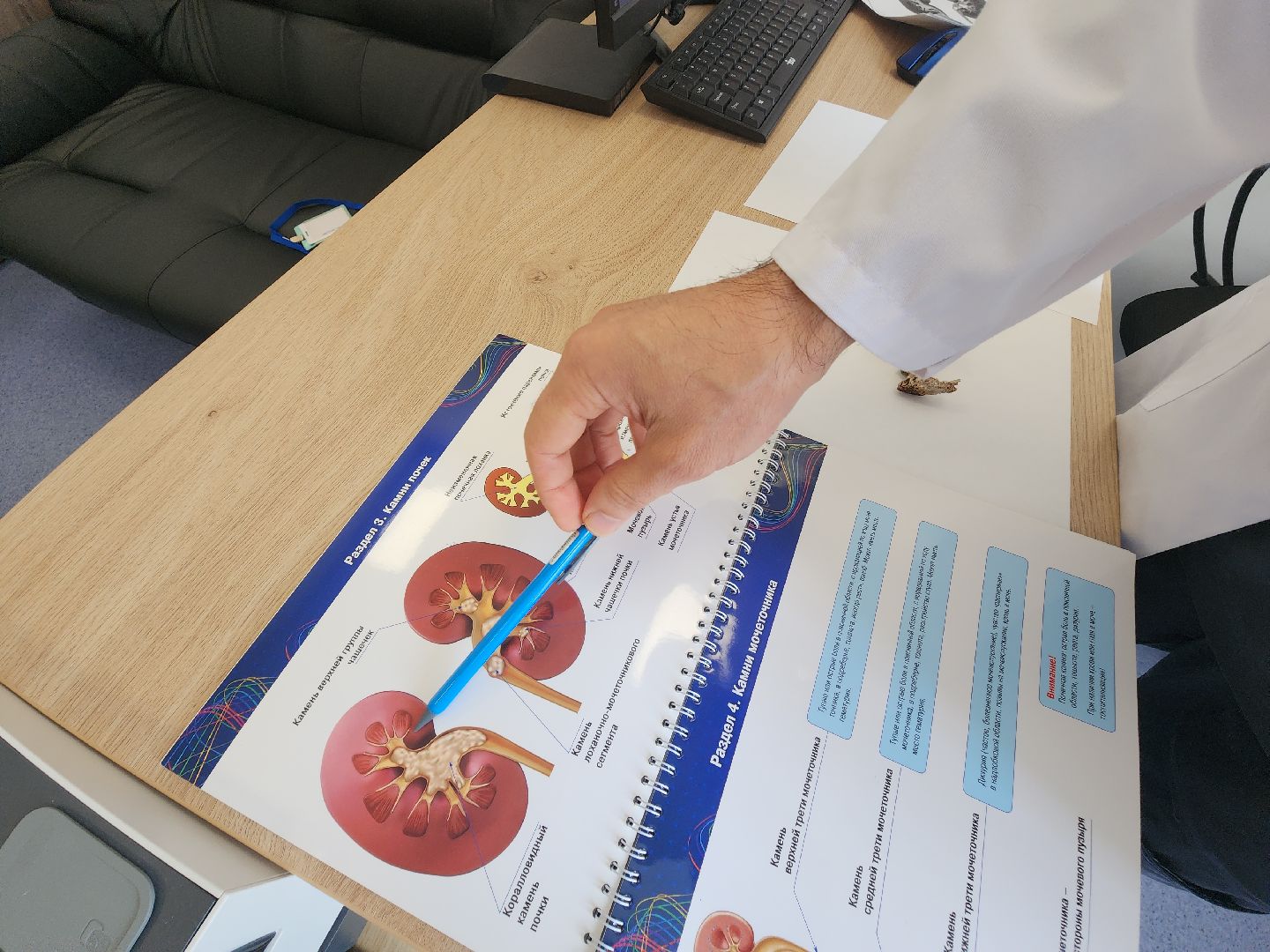 урология, камни в почках, профилактика болезней, советы врачей,