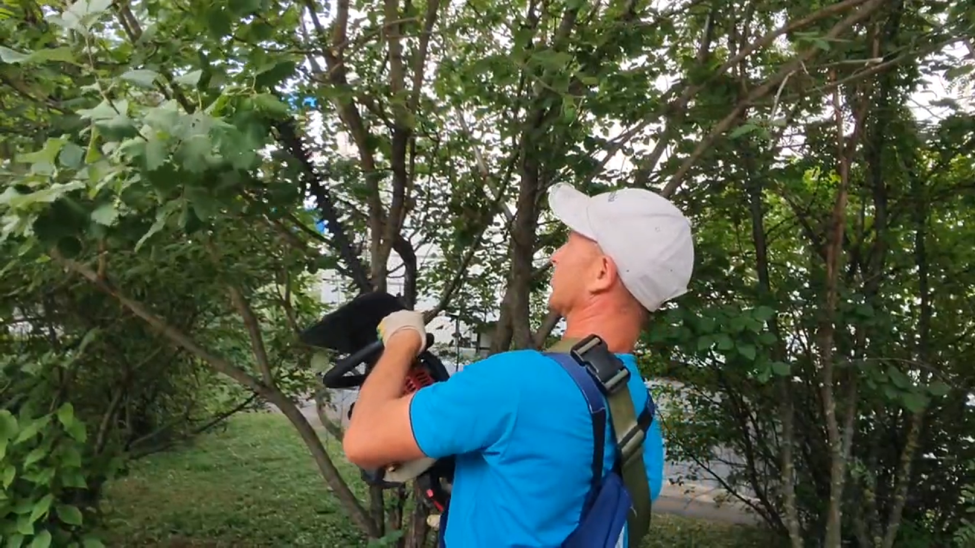 встреча с жителями власиха, микрорайон Маршала Жукова Власиха, благоустройство 2024, комплексное благоустройство, Комфортная городская среда,