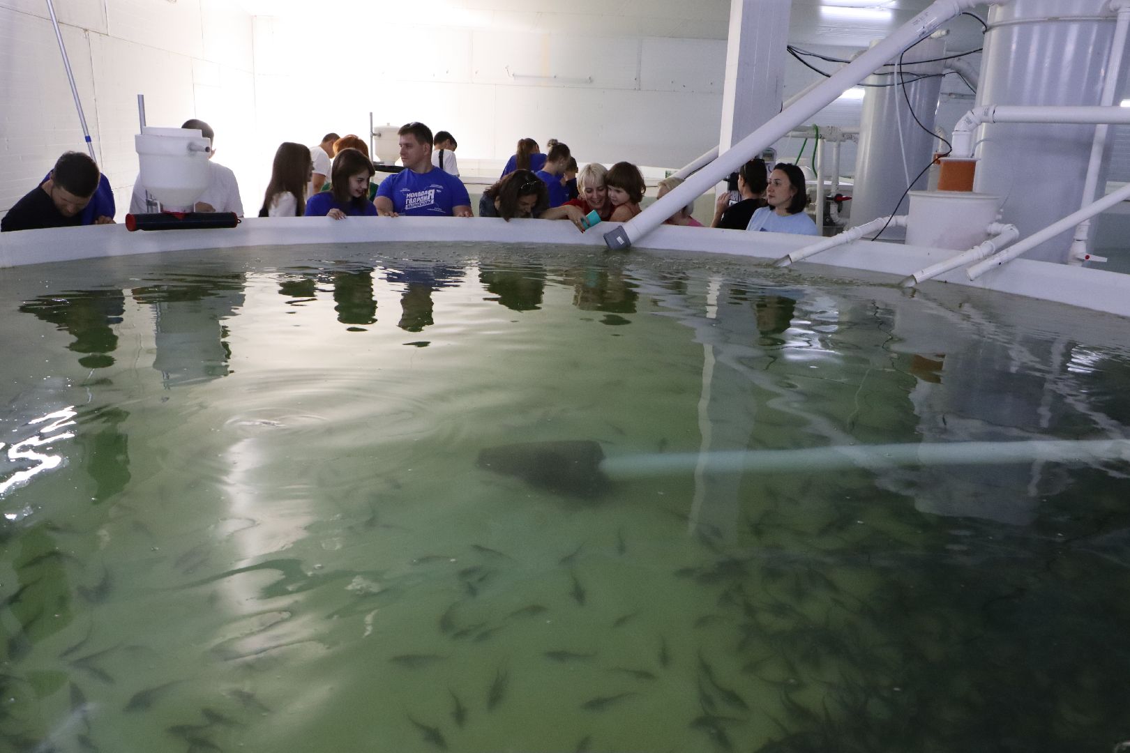 осетровое хозяйство, серебряные пруды, рыбхоз, экскурсия,