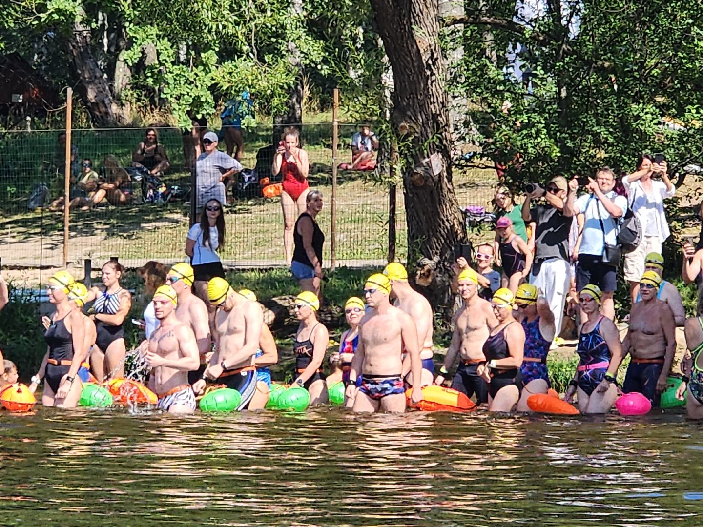 соревнования по плаванию, клязьменское водохранилище, мытищи, спорт,