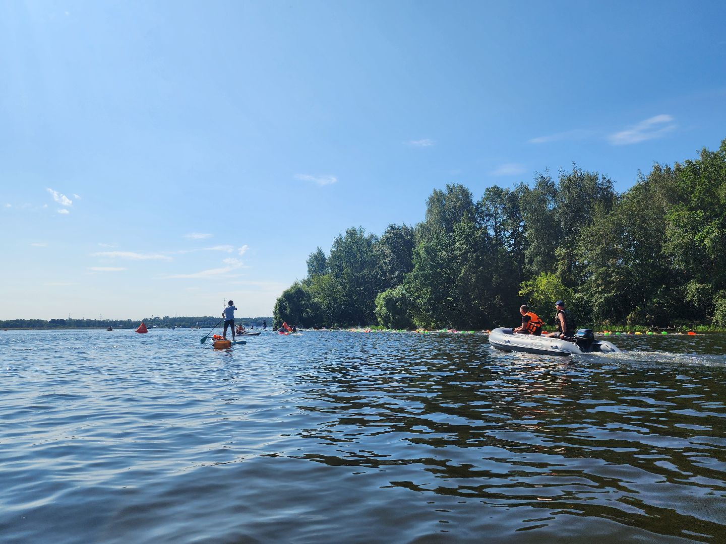 соревнования по плаванию, клязьменское водохранилище, мытищи, спорт,