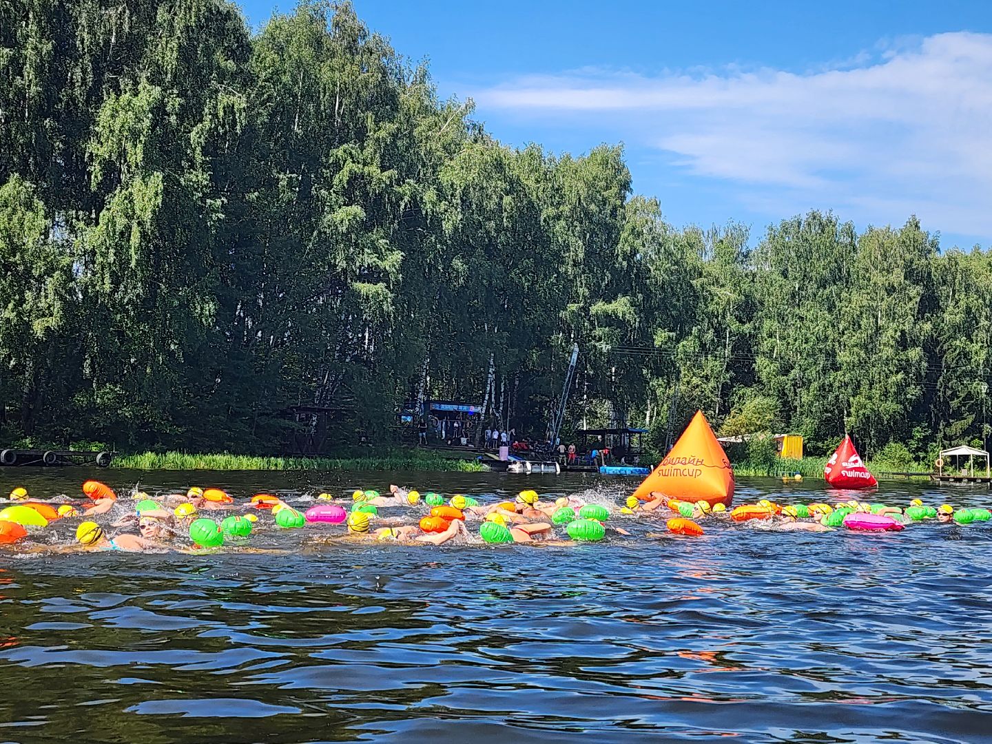 соревнования по плаванию, клязьменское водохранилище, мытищи, спорт,