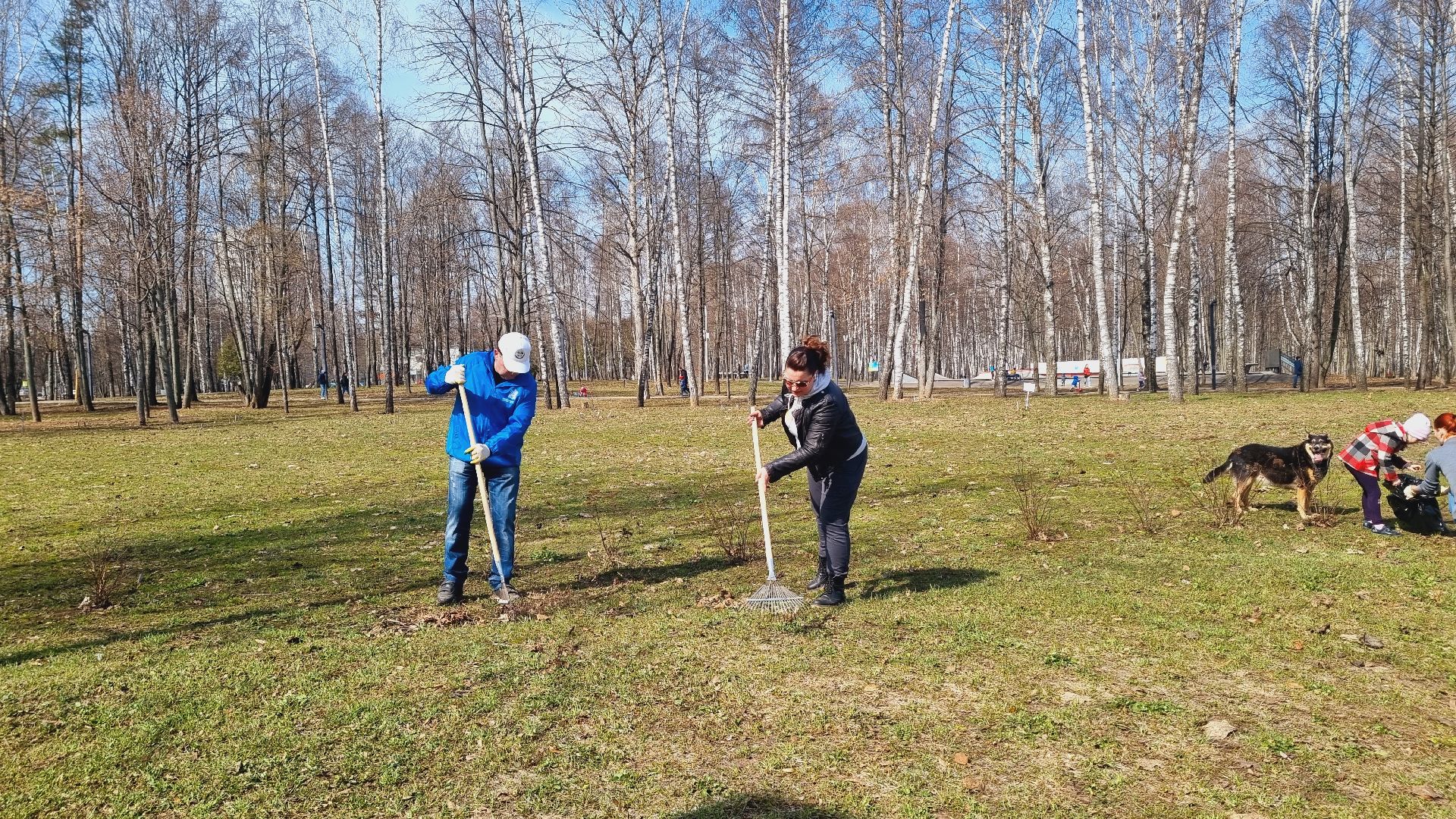 Подмосковье, Ивантеевка, субботник, парки