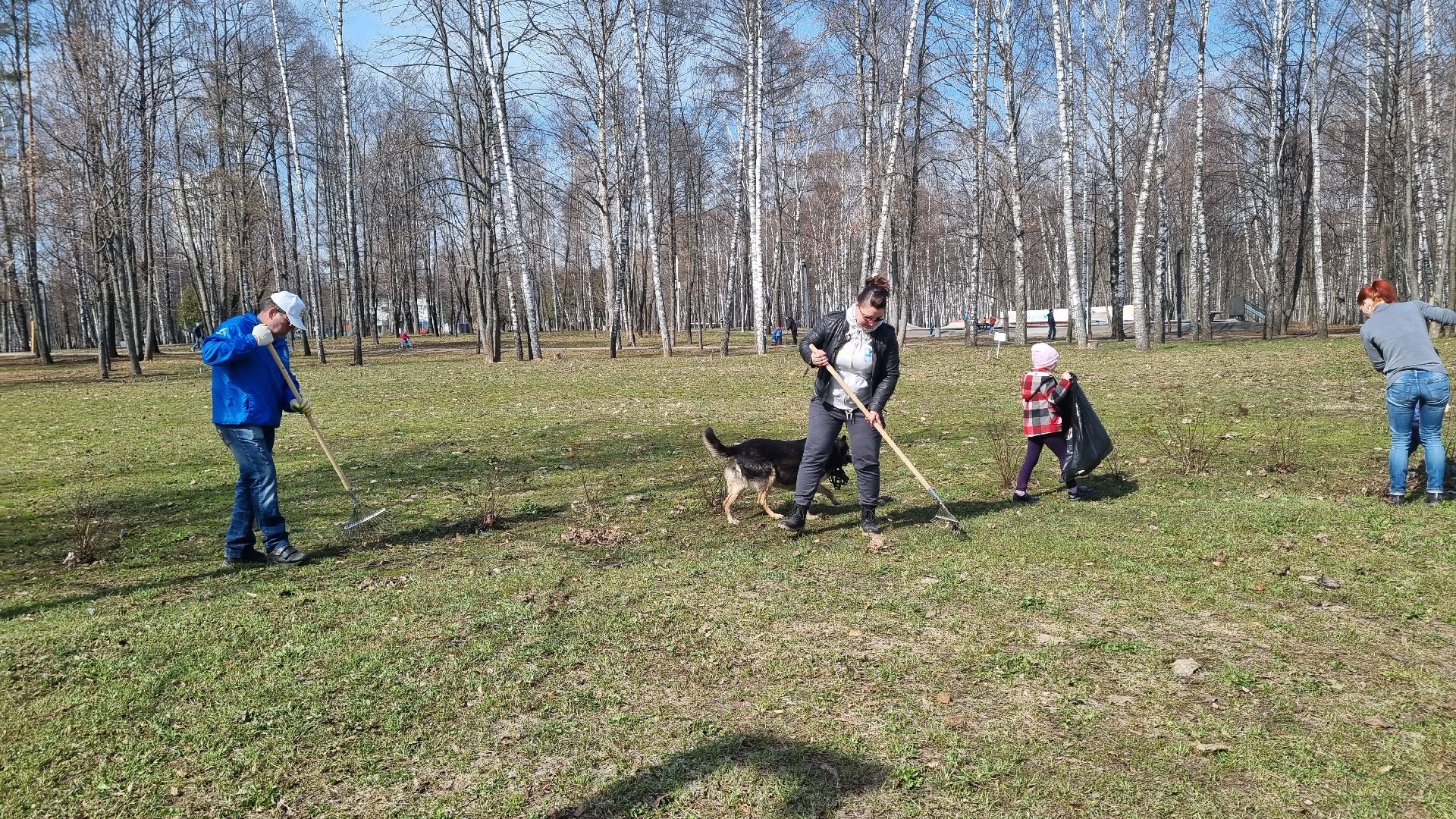 Подмосковье, Ивантеевка, субботник, парки